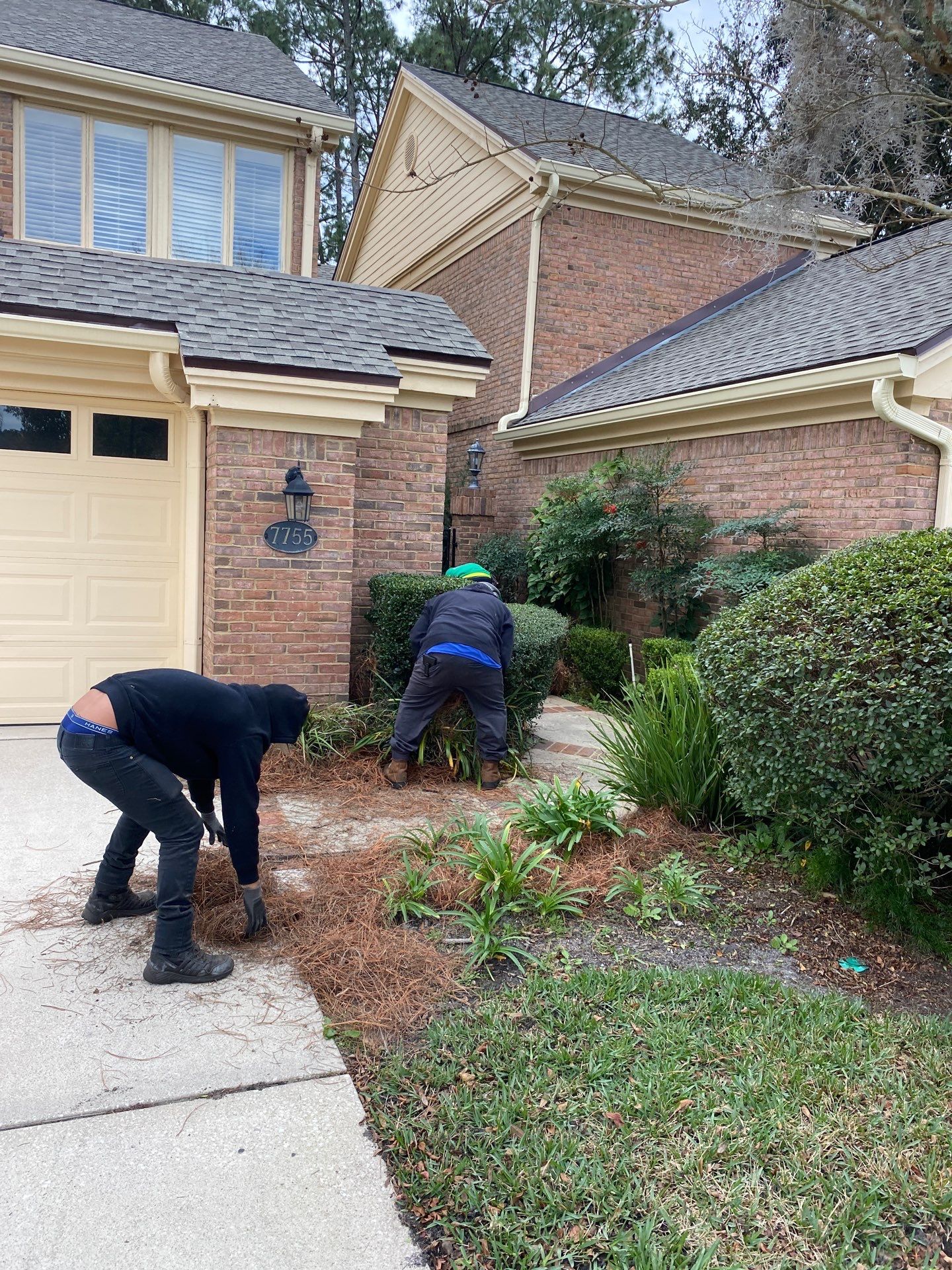 Deerwood Pointe | Tree Removal & Pine Straw Installation by ProGreen Services
