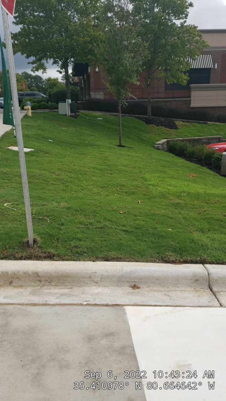 Harris Teeter Fuel Station Project Concord NC - (Commercial) by Carolina-Metro Landscape, Inc