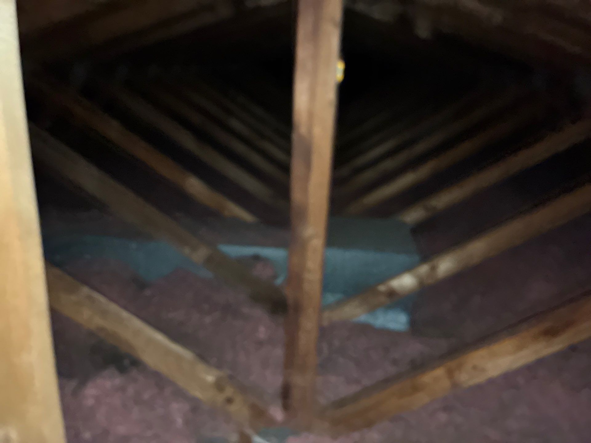 Project in Herndon, VA by Founders Insulation