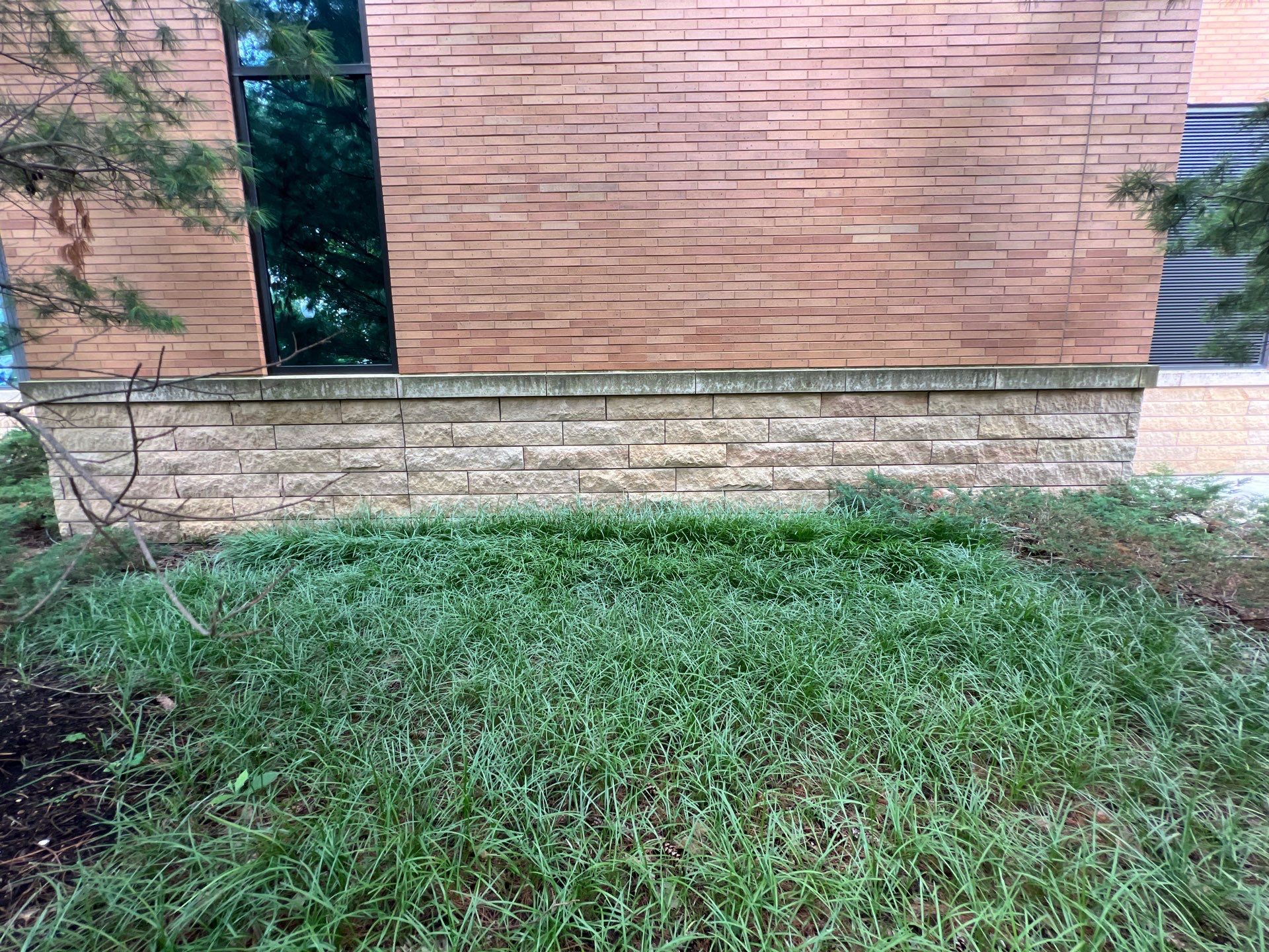 natural stone using Algaecide, soft wash soap by Northern Power Washing LLC.