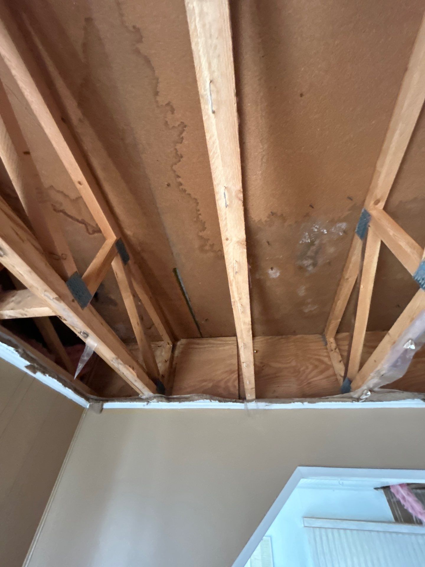 Mold Damage Removal In Ellenton, FL by Ampm Restoration Services