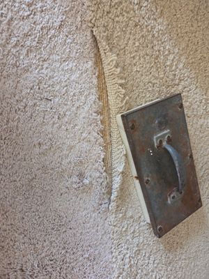 Carpet Cleaning and Stain Removal in Shingle Springs