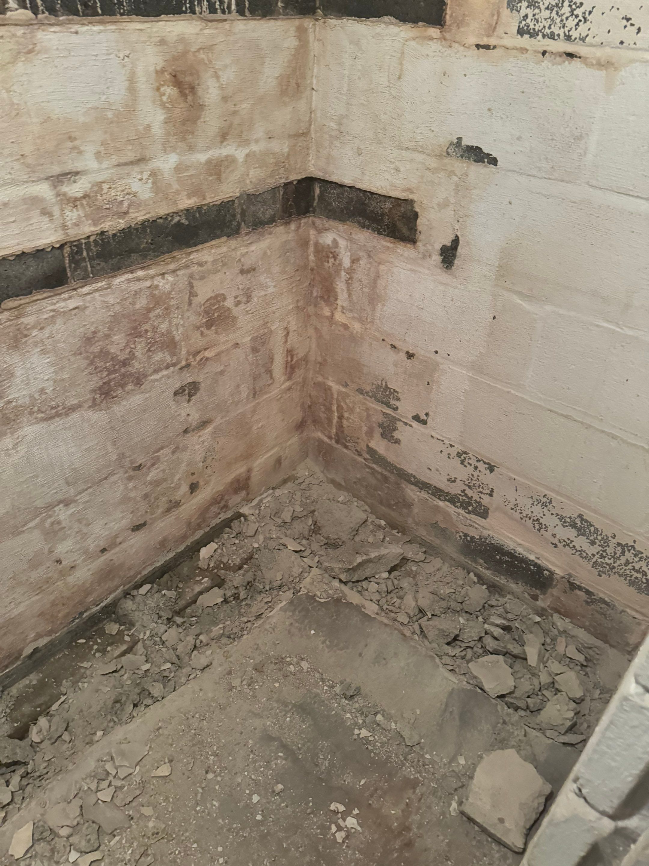 Interior French Drain Washington Township, NJ by Pure Service Pro, LLC 