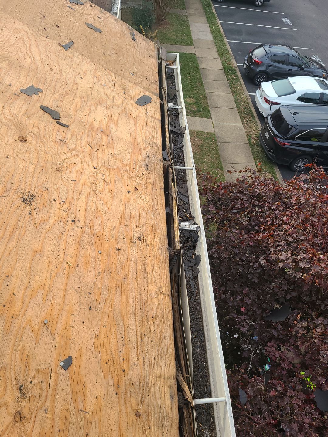 Springfield: Residential Roof Replacement with CertainTeed Landmark Pro in Max Def Burnt Sienna by RM Banning, Inc.