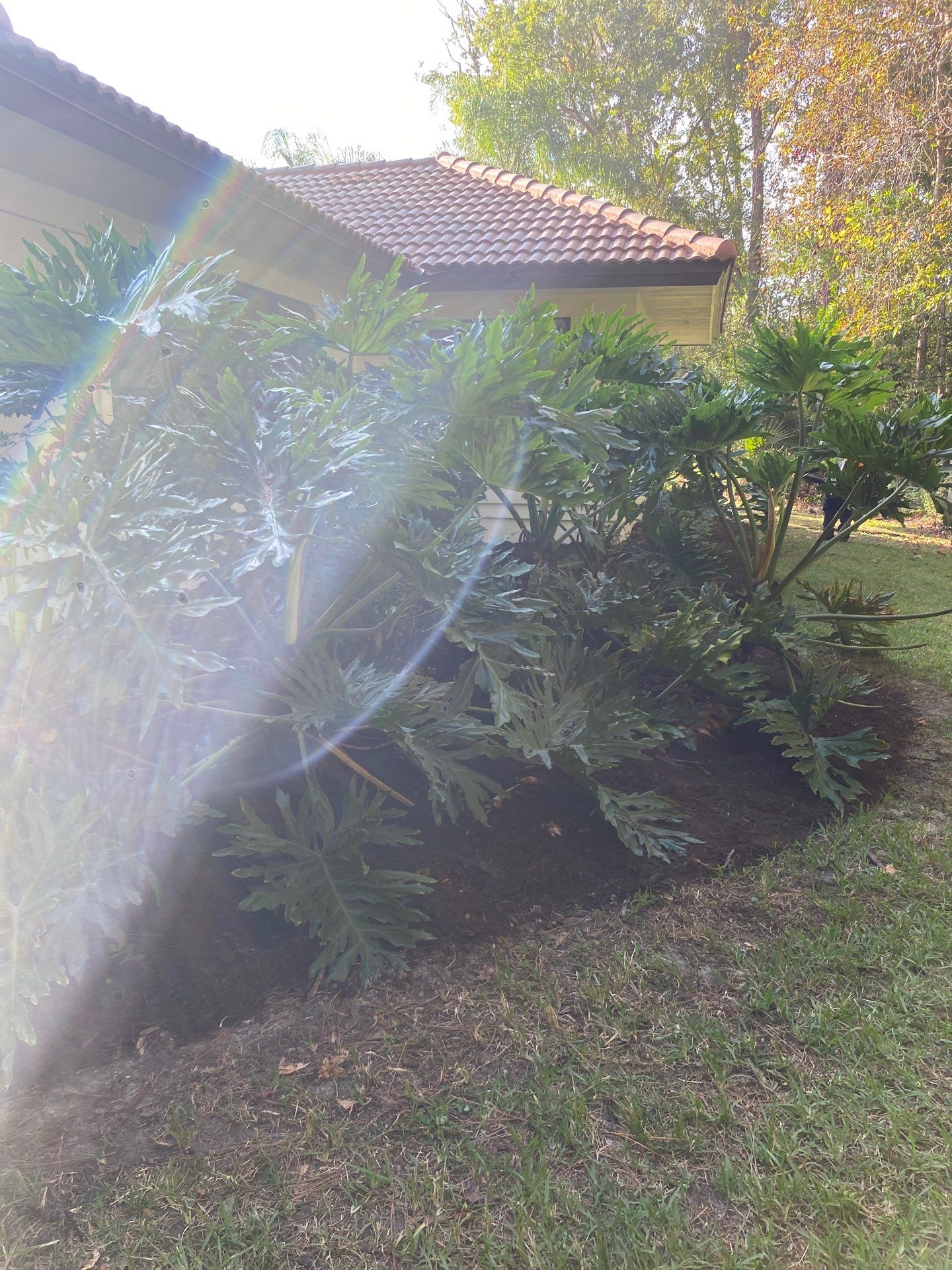 Deerwood Residence | Sod Repair & Mulch Installation  by ProGreen Services