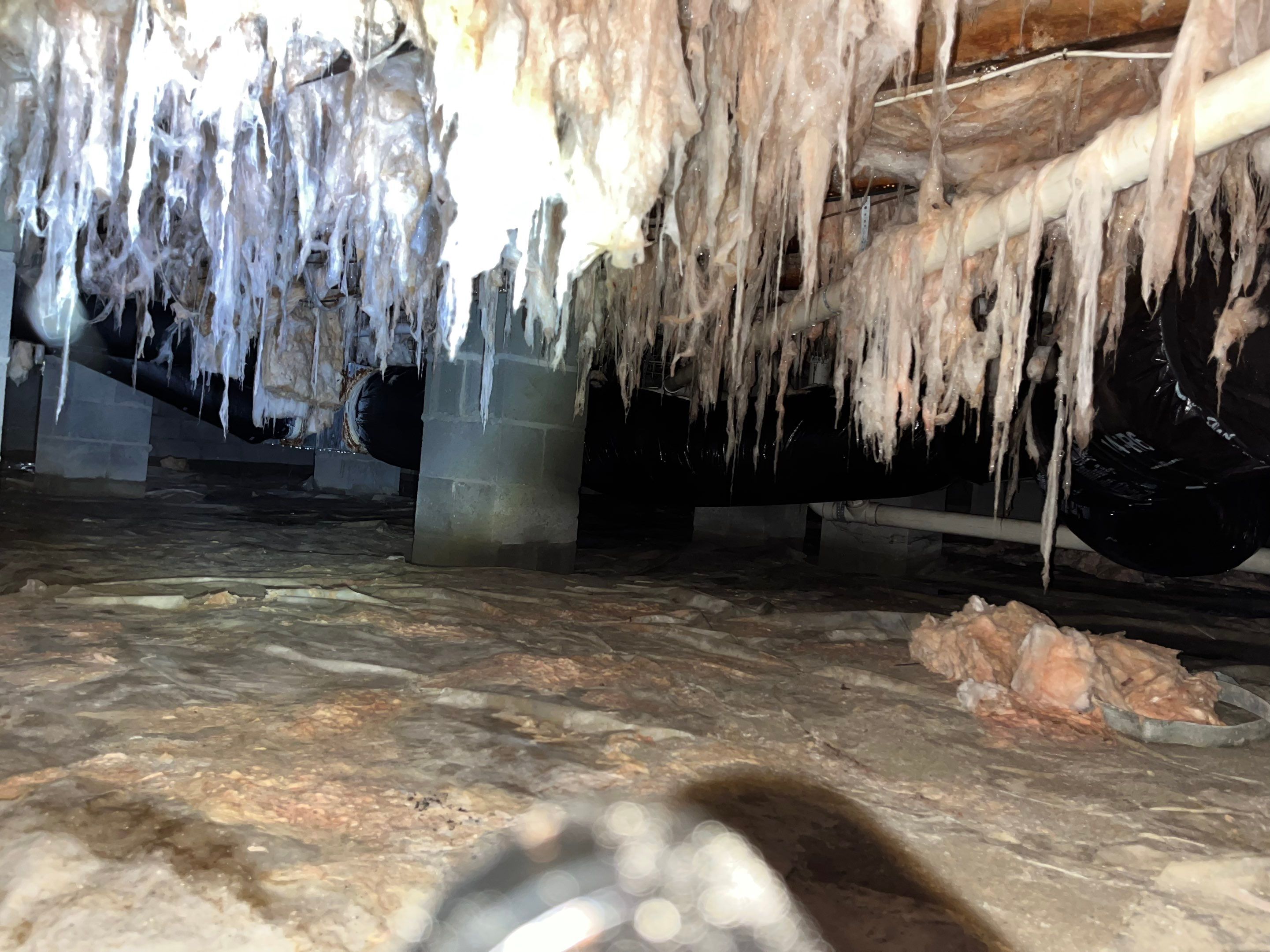 Premium Encapsulation with Bora-Foam using Bora-Foam Insulation by Impact Crawlspace