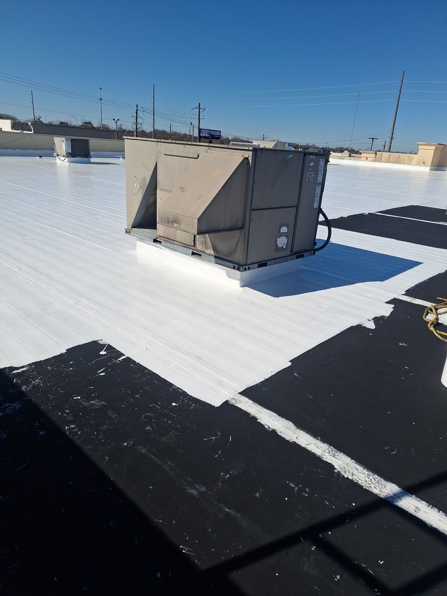 E&S Mens Warehouse  by iGreen Solutions
