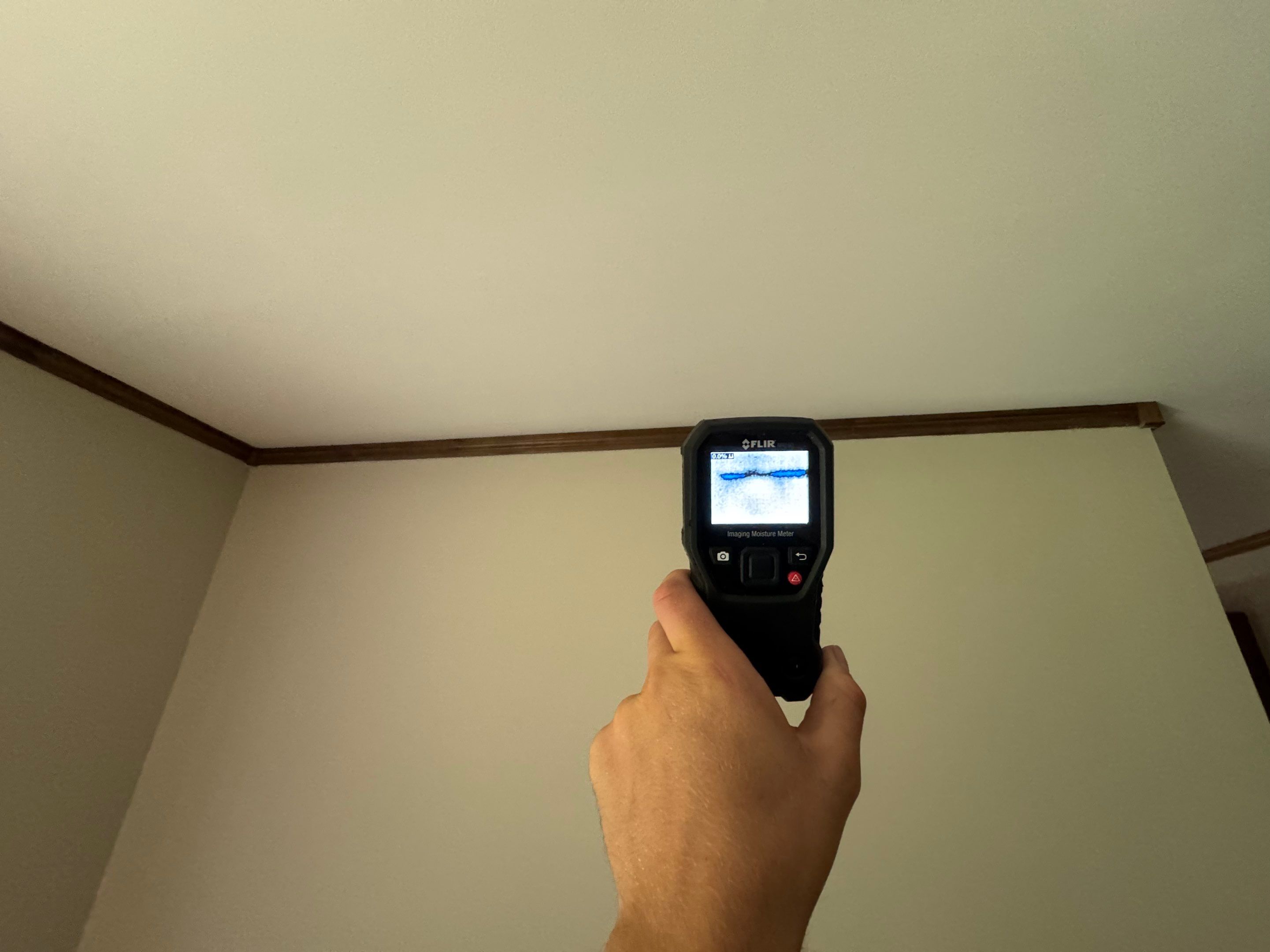 Basement & Livingroom Remediation by Home Guarantee, LLC