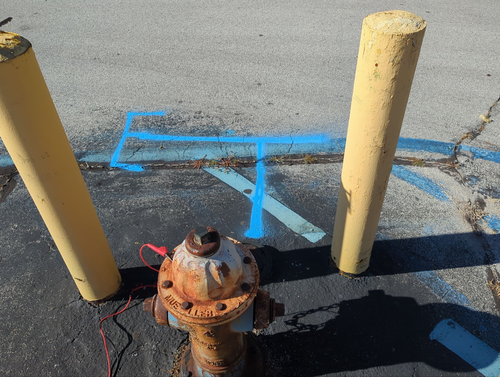 Parking Lot Utility Locate / GPR Investigation by Alsip Locating Service, LLC