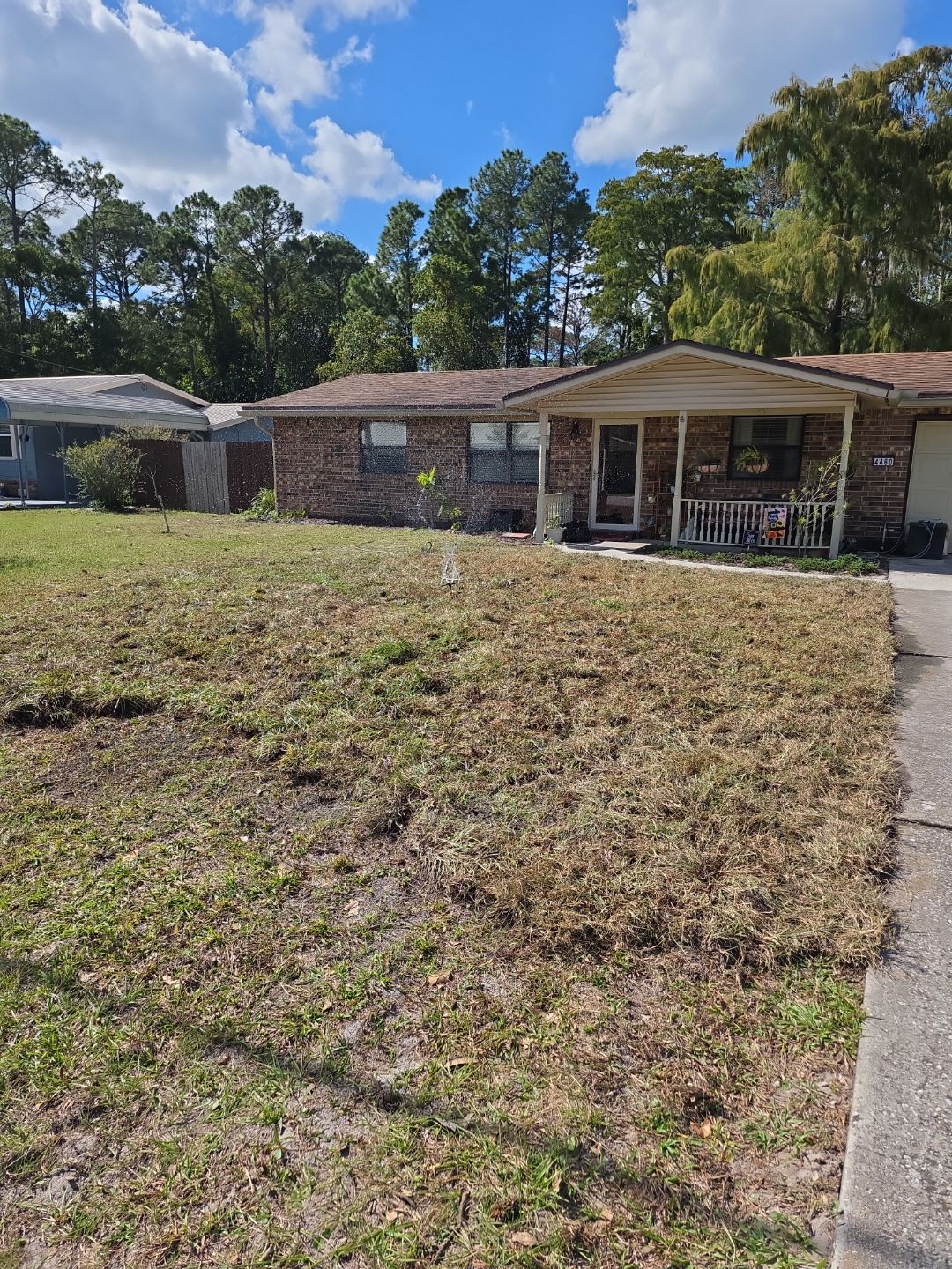 Tree Removal & Sod Install | Residential by ProGreen Services