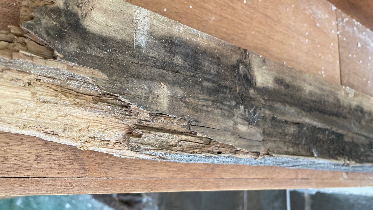 Retrofitting Drainage Board in Lino Lakes by Waterproofing Northeast