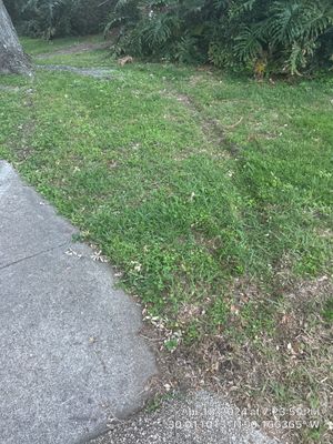 Project in Metairie