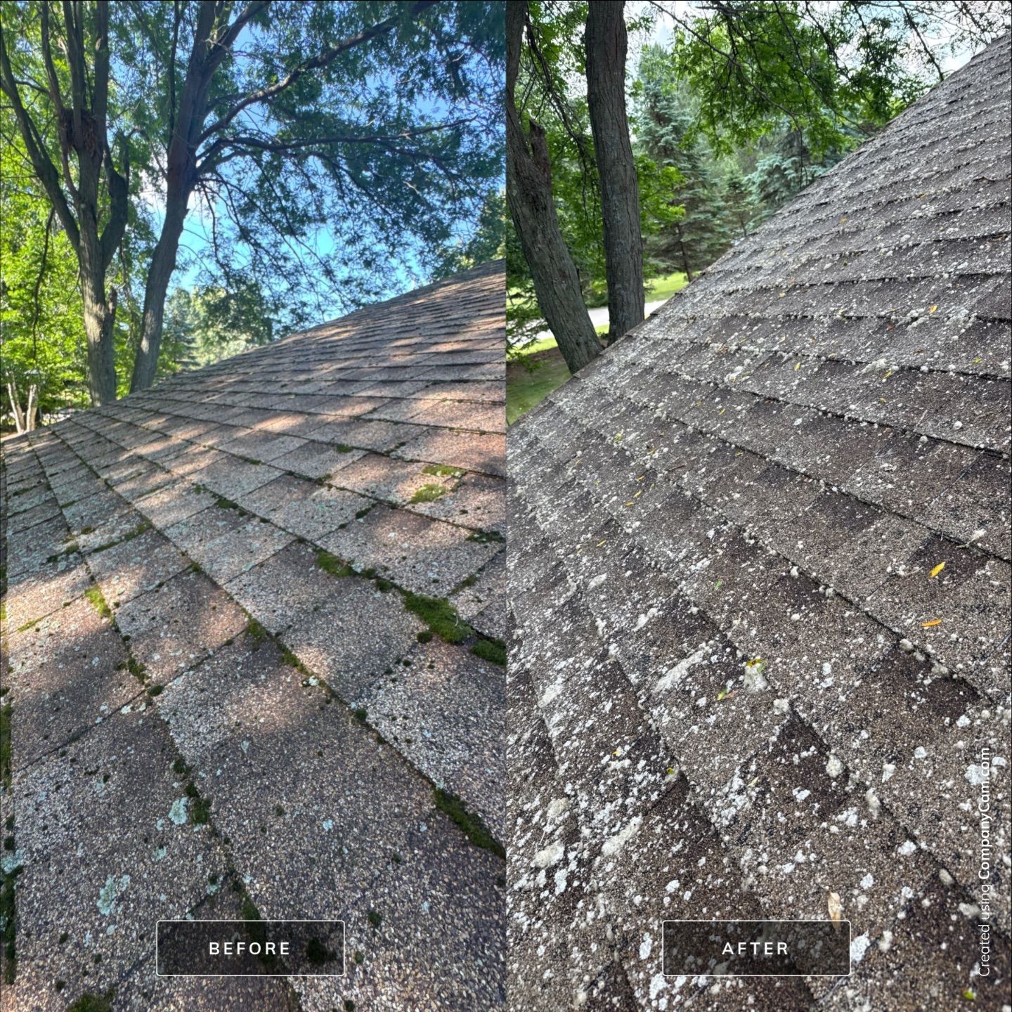 Project in Richmond by Simmons Power & Soft Washing