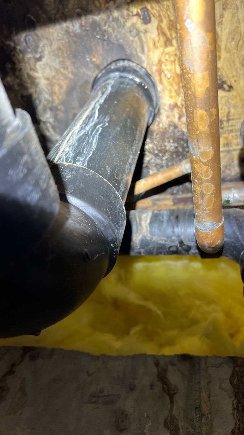 Mold Remediation by Accountable Home Services