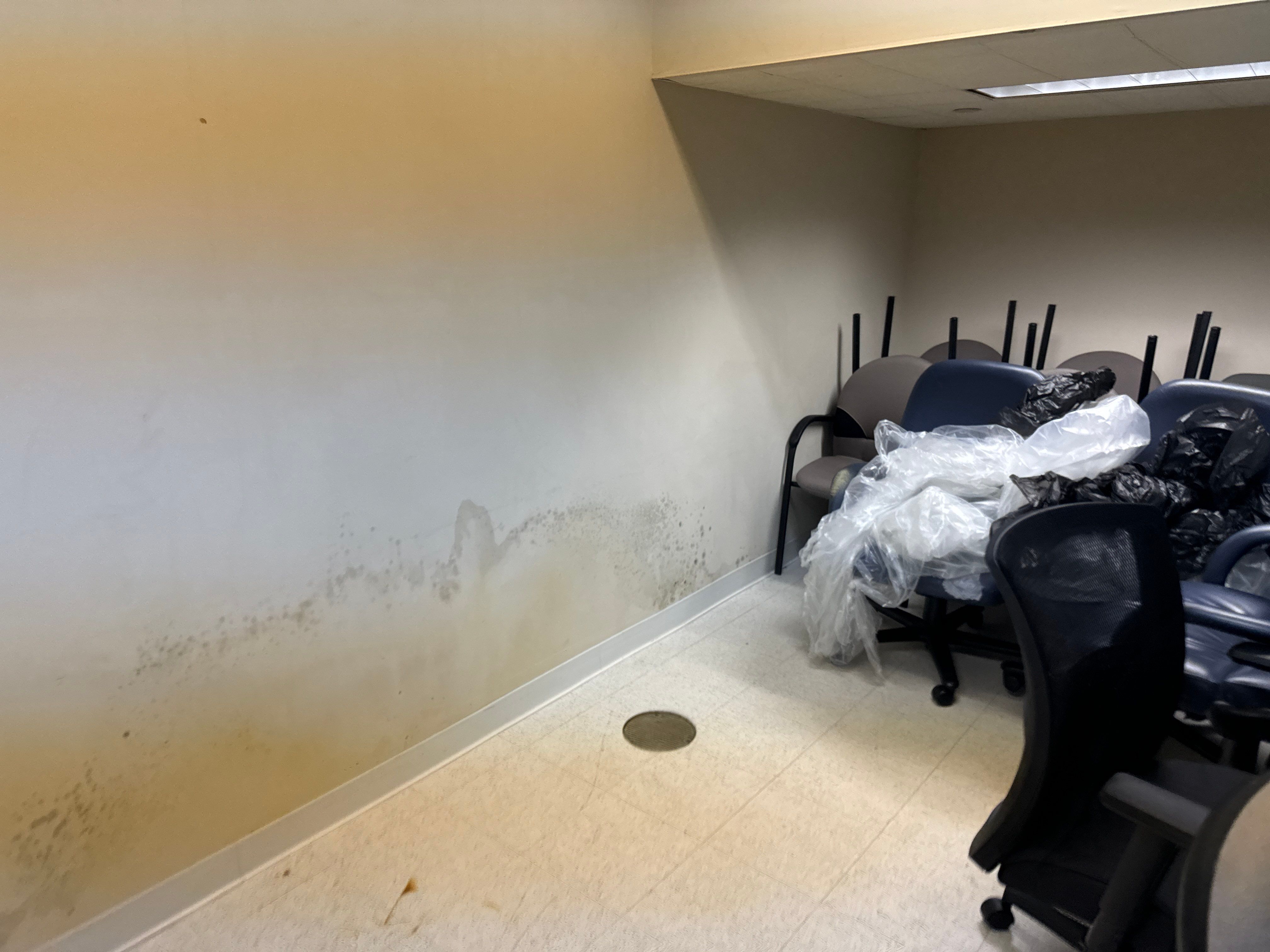 Mold Remediation Fairfield NJ by Pure Service Pro, LLC 