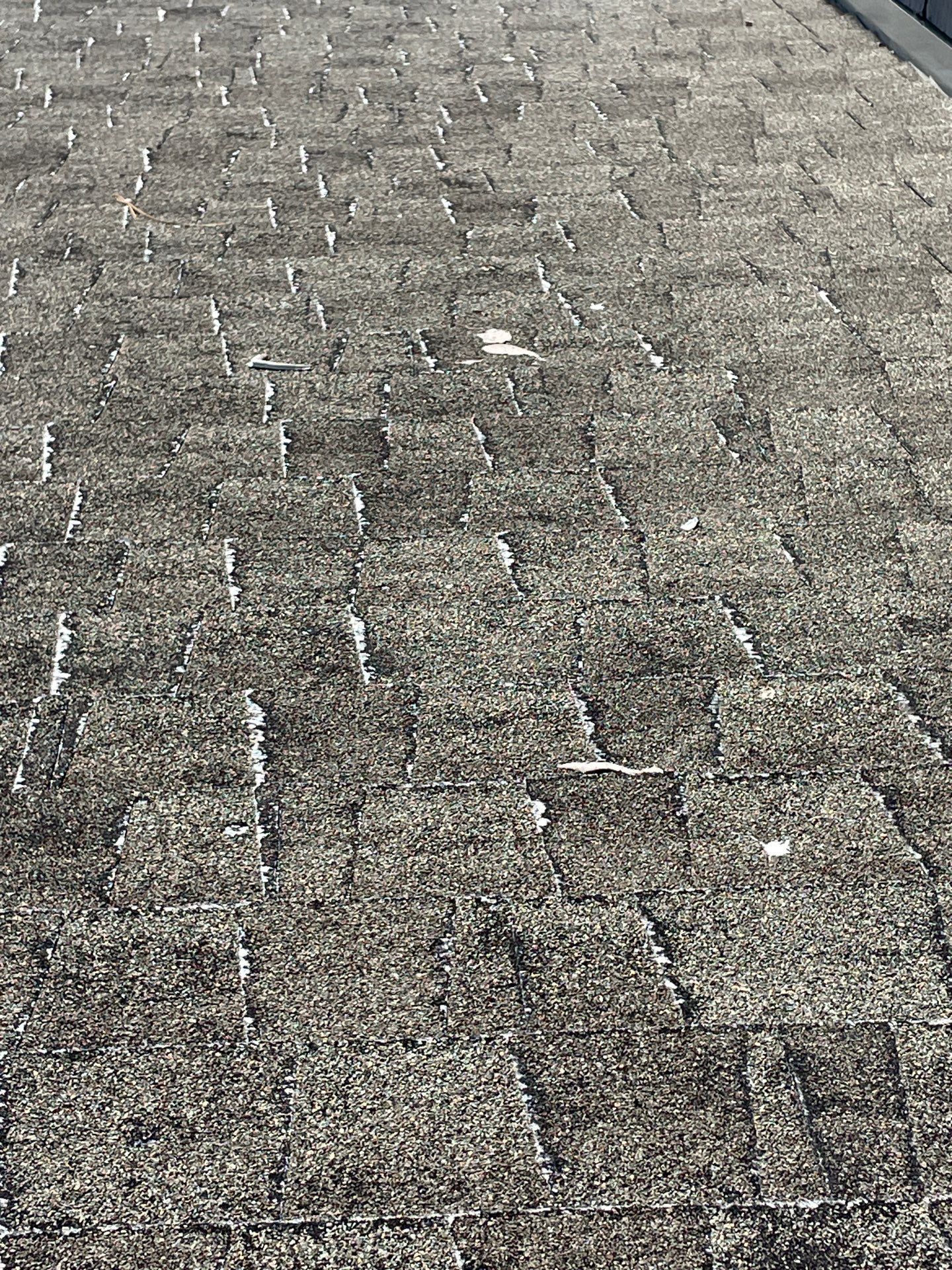 Roof Rejuvenation using Roof Maxx Treatment by Roof Maxx of Folsom