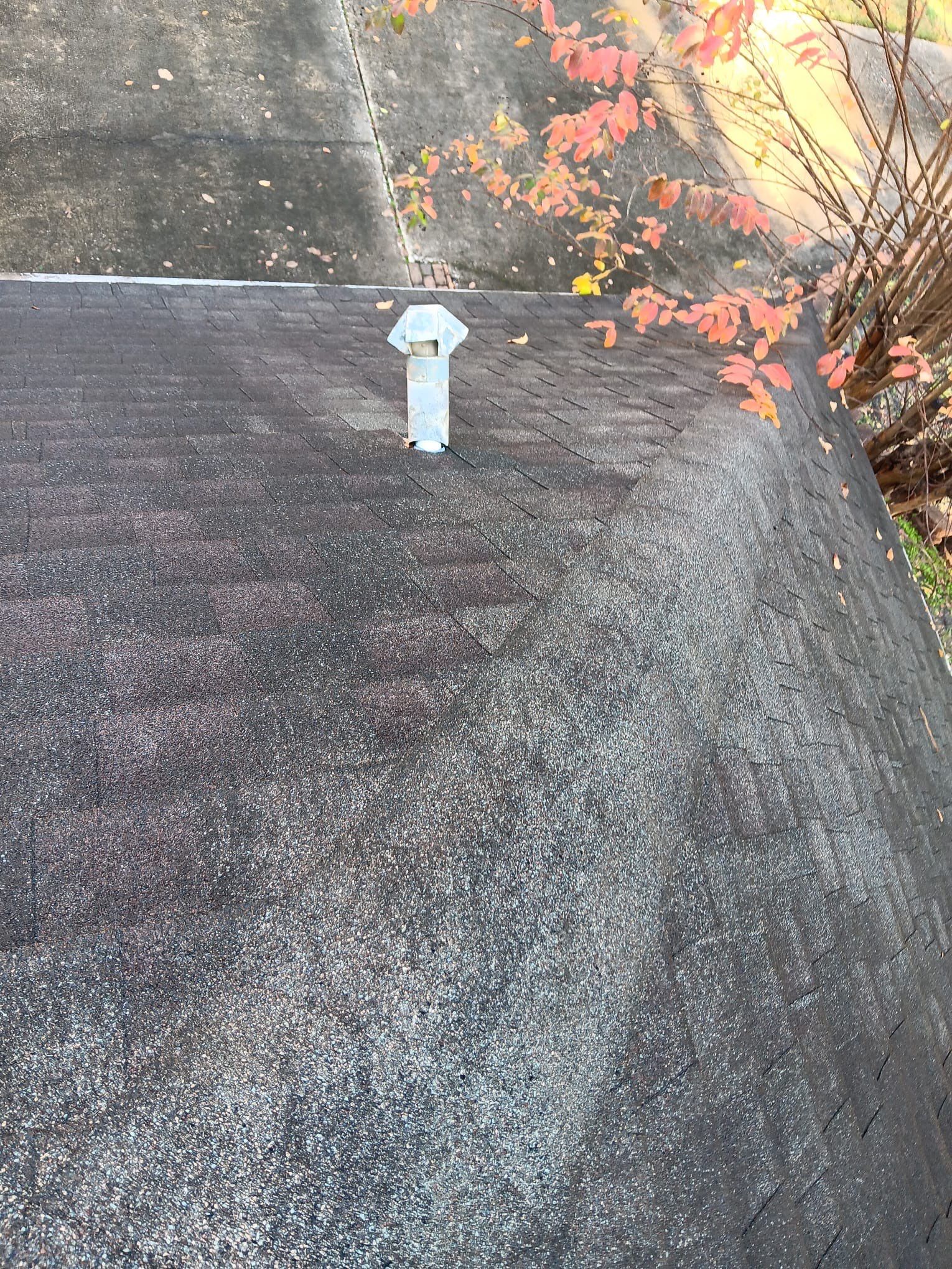 Roof Repair Spring by Roof Repair Company