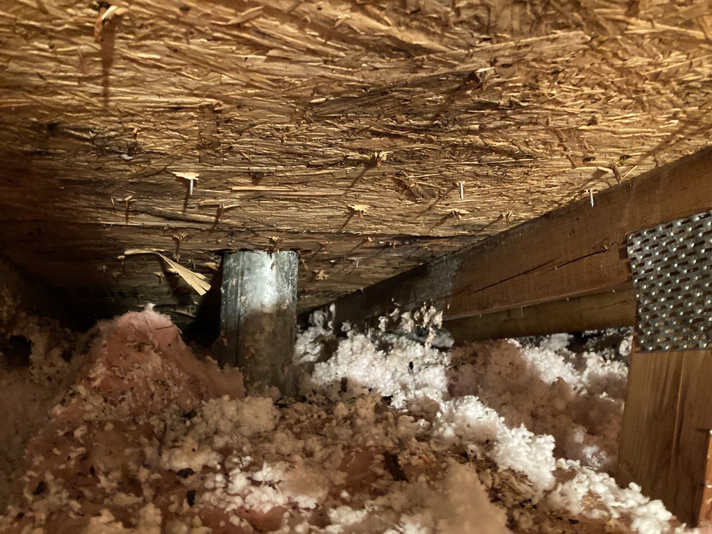 Mold Remediation in Attic by Accountable Home Services