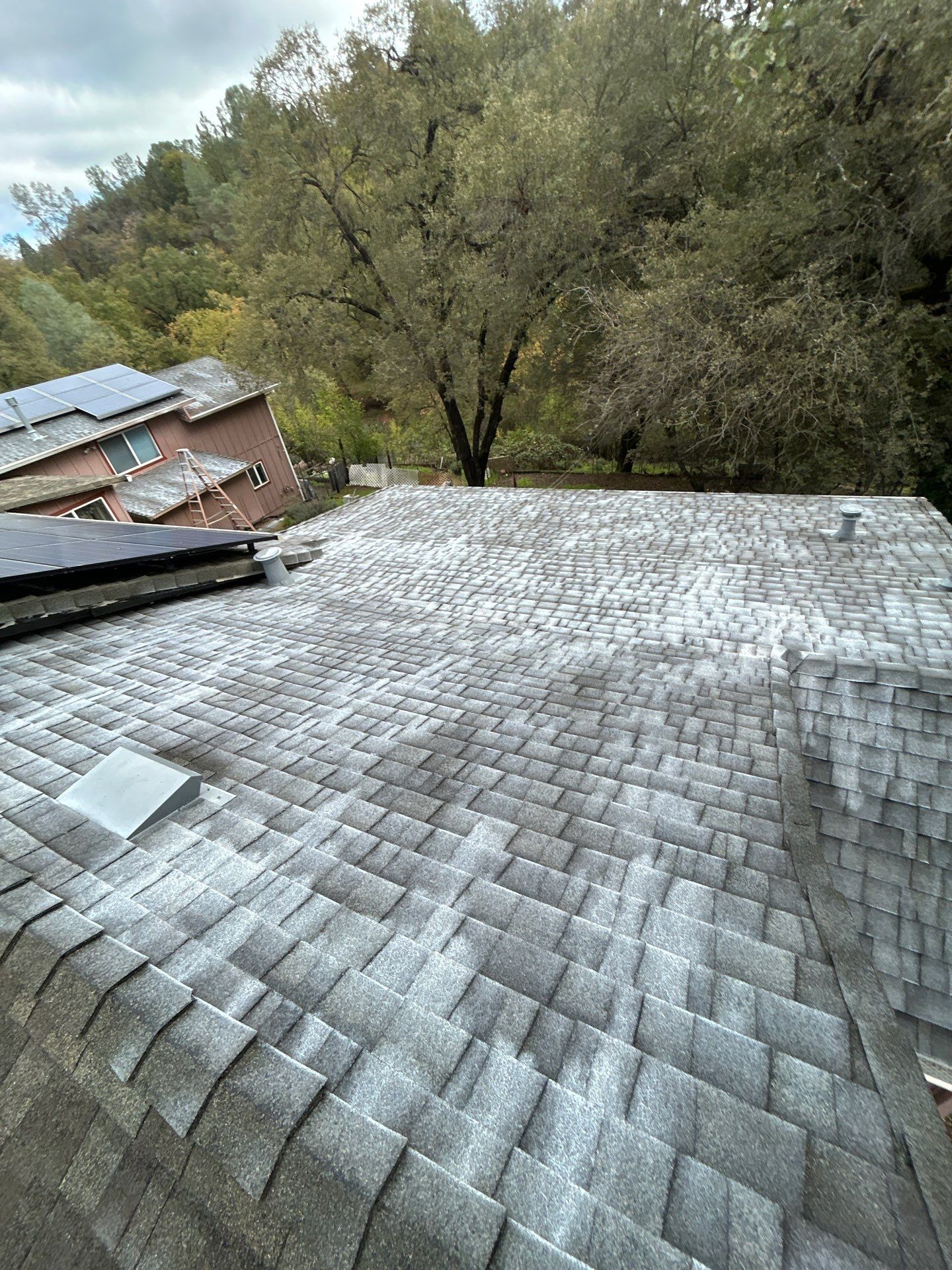 Roof Rejuvenation using Roof Maxx Treatment by Roof Maxx of Folsom