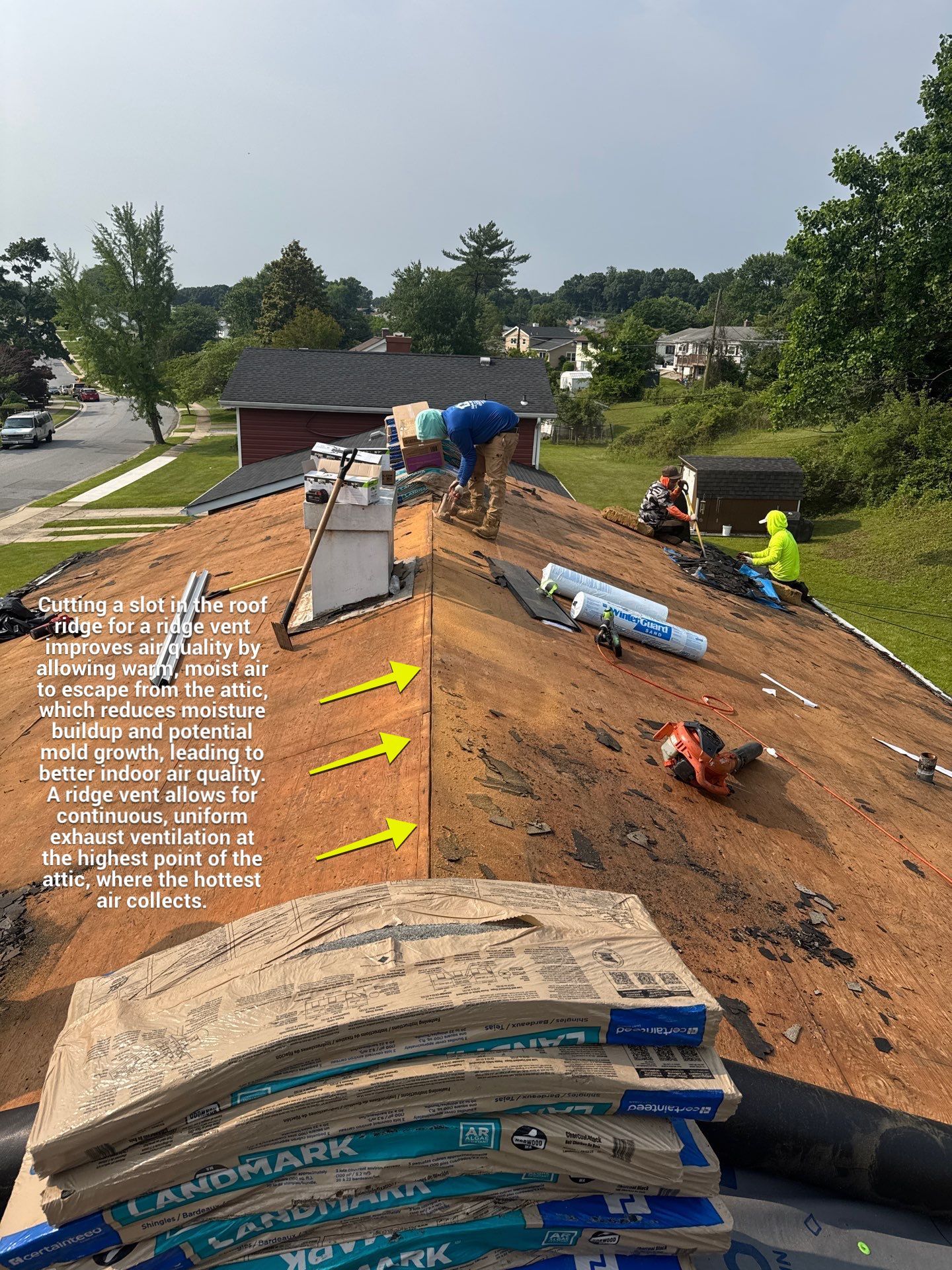 New Shingle Roof by Alpha Design Services