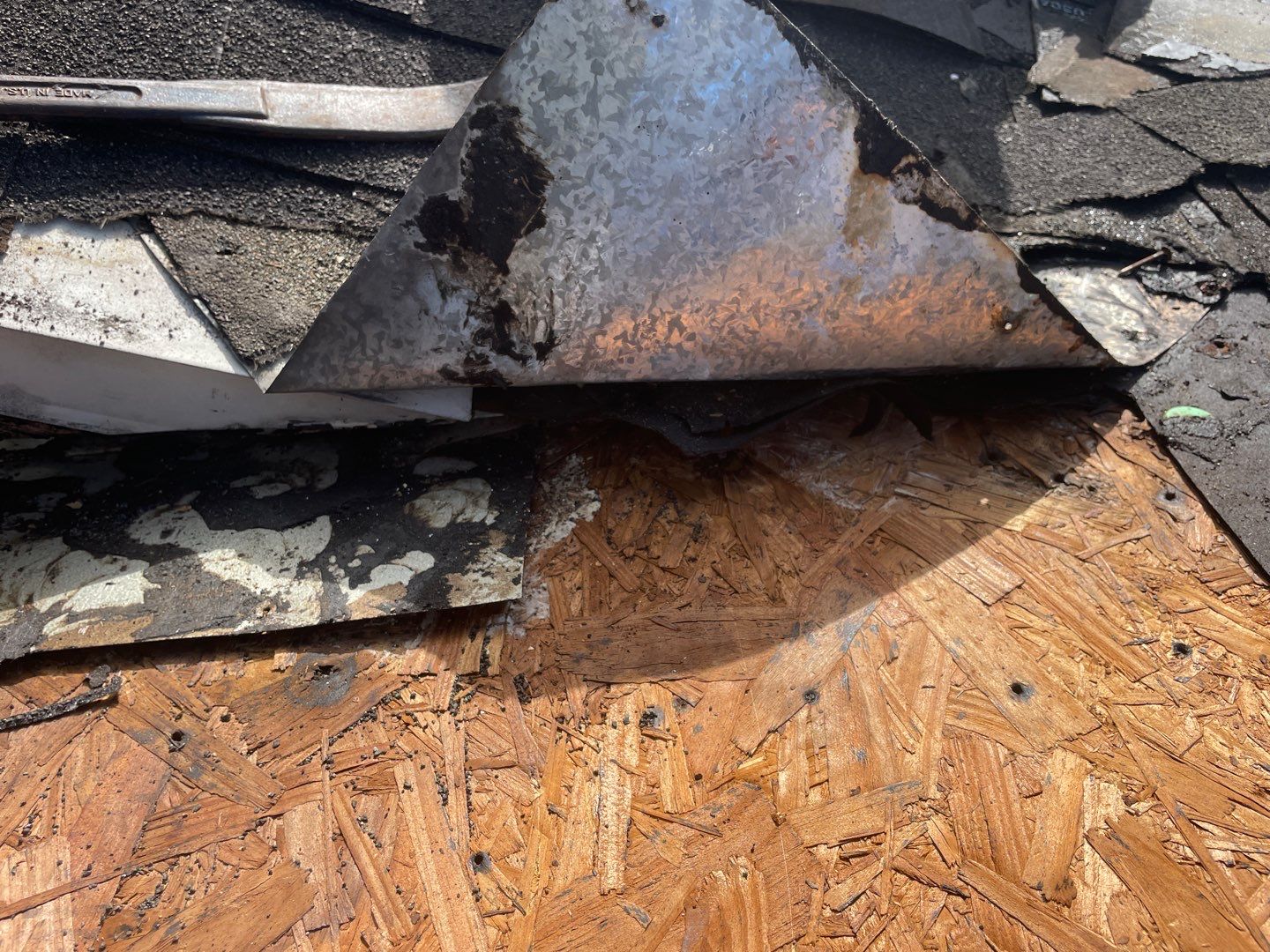 Residential Roofing Repair using Asphalt Shingles by RoofSmith of Tampa Bay