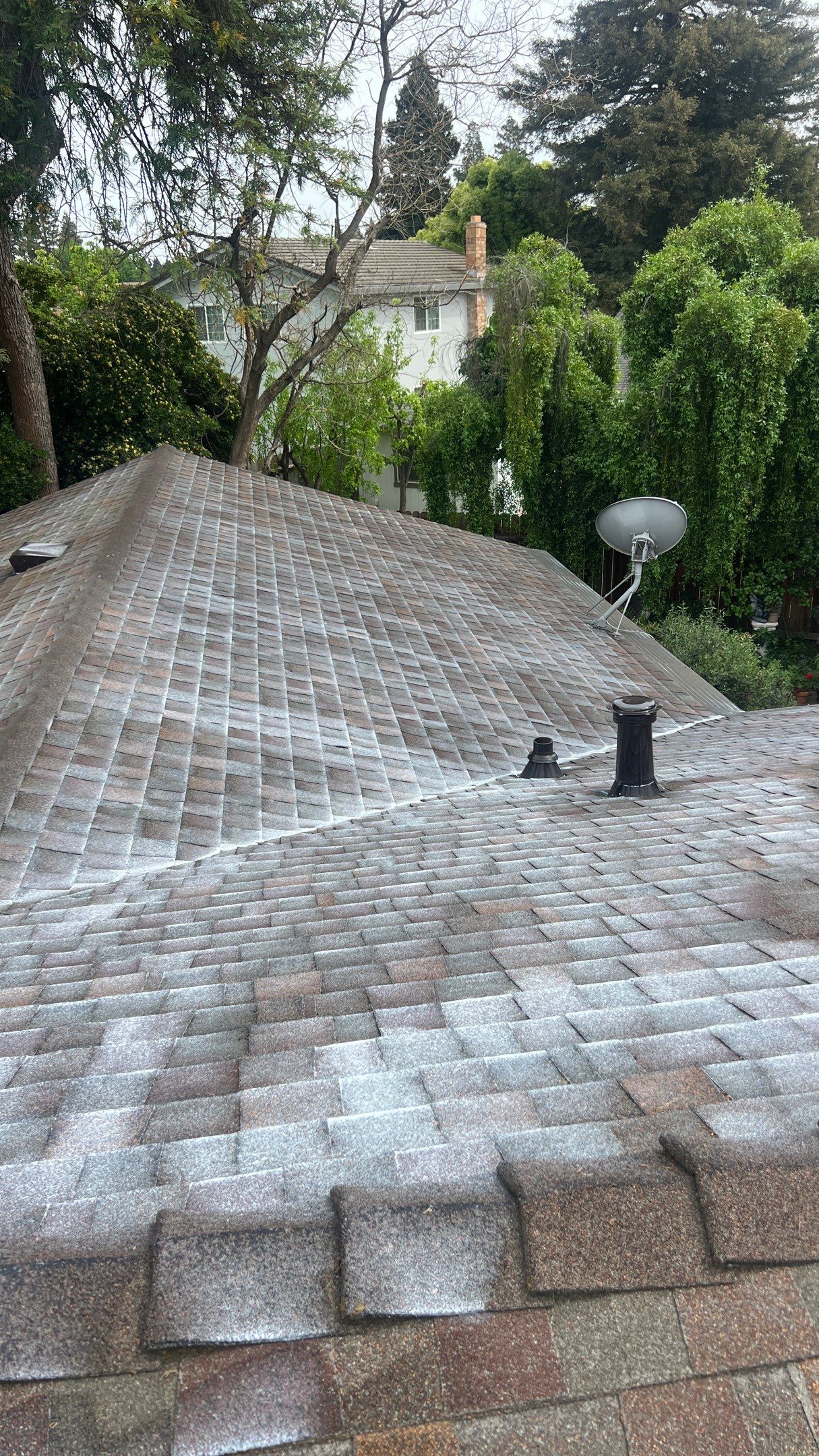 Roof Rejuvenation using Roof Maxx Treatment by Roof Maxx of Folsom