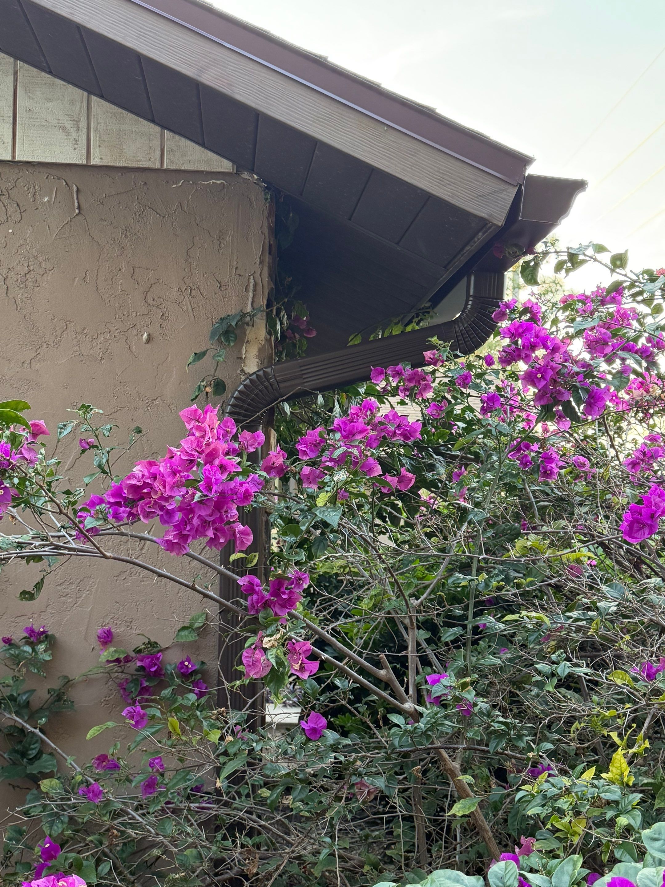 Brown Seamless Gutters for Beach Cottages in Sarasota FL by Gutter Professors