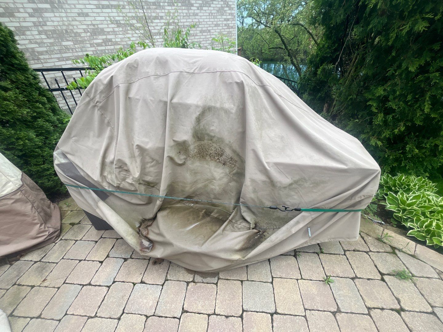 dryvit using Algaecide, soft wash soap by Northern Power Washing LLC.