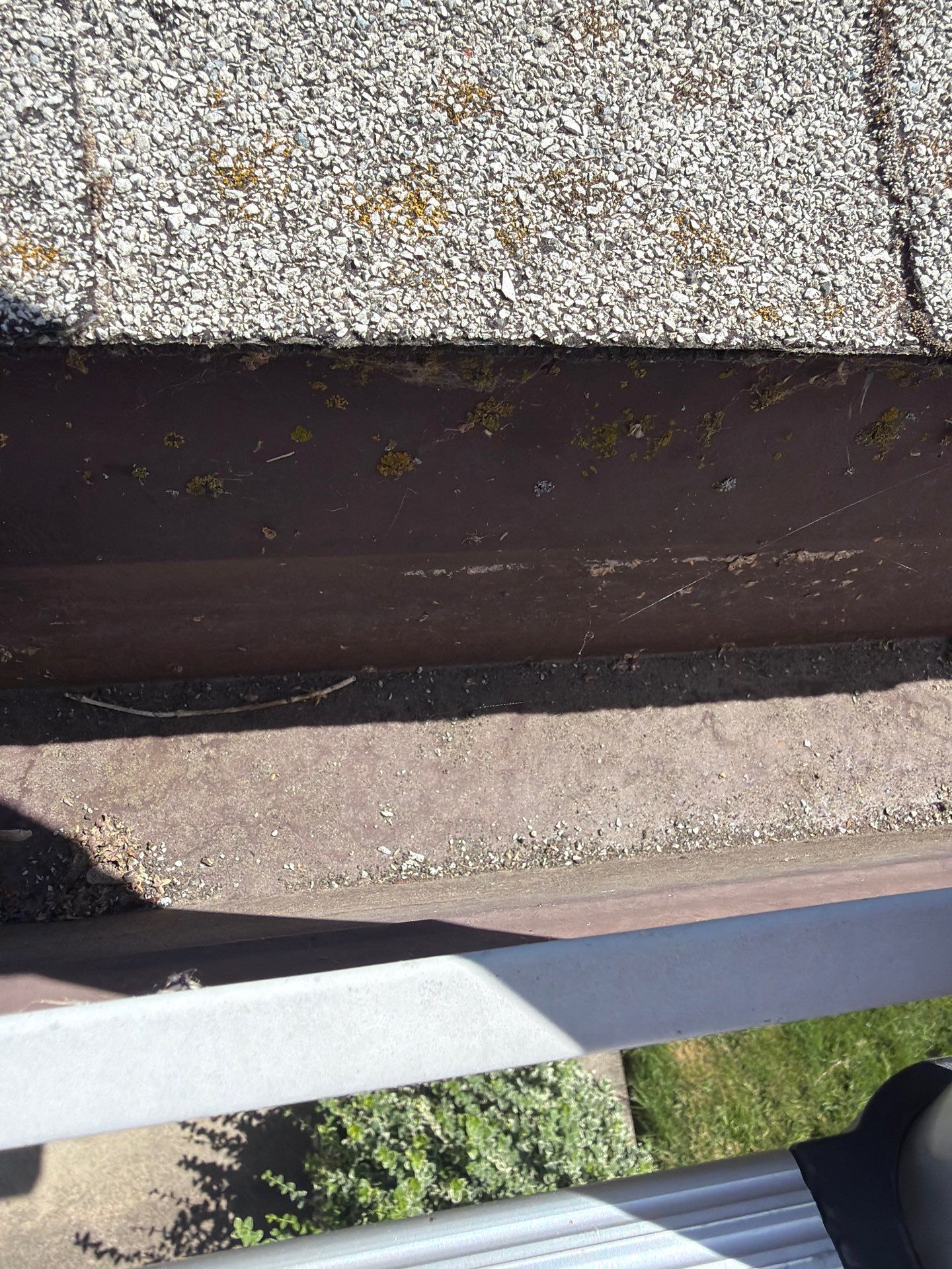Roof Rejuvenation using Roof Maxx Treatment by Roof Maxx of Folsom