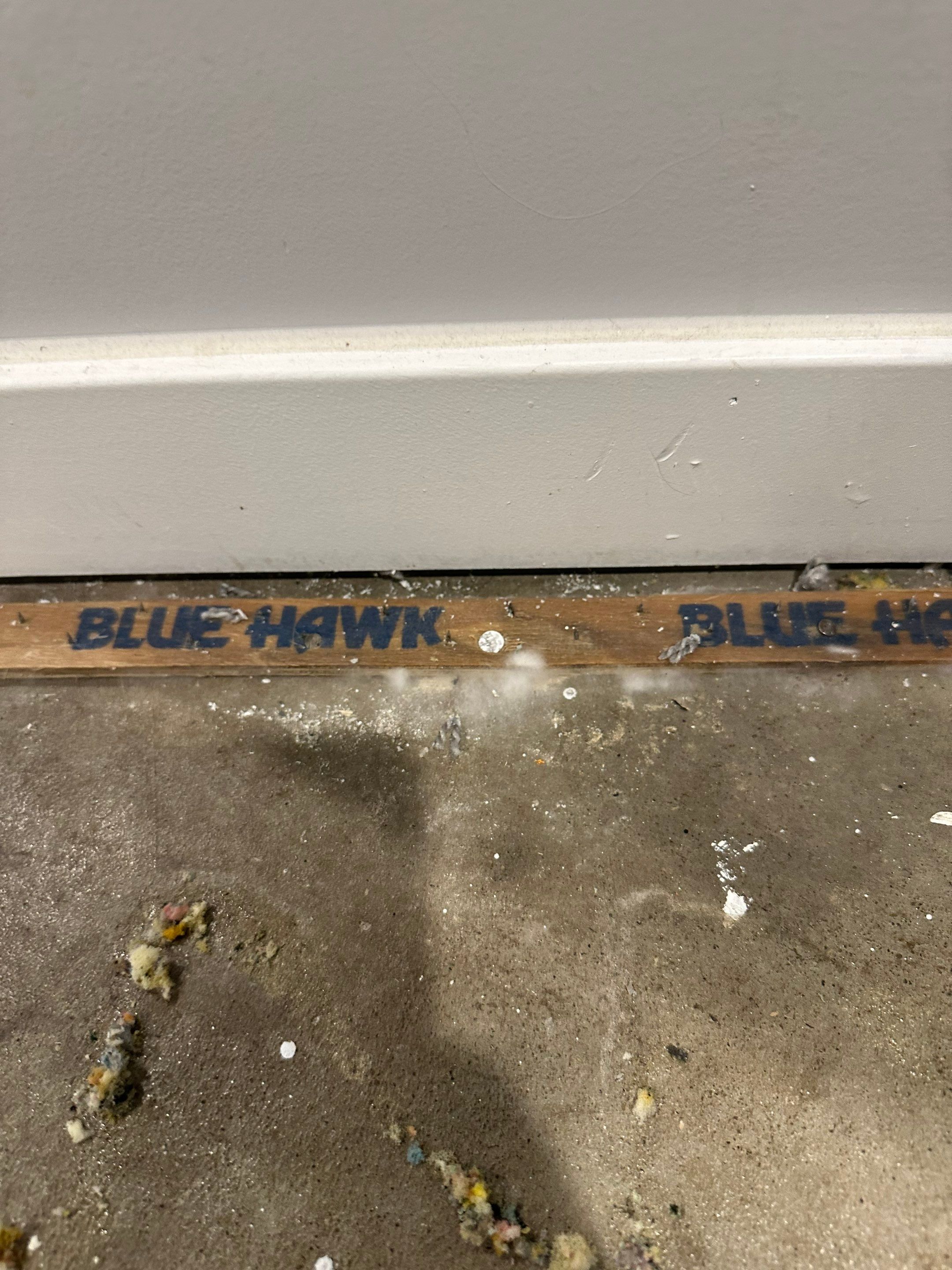 Basemen Oder removal with mold remediation and carpet pad replacement by BlueRed Restoration