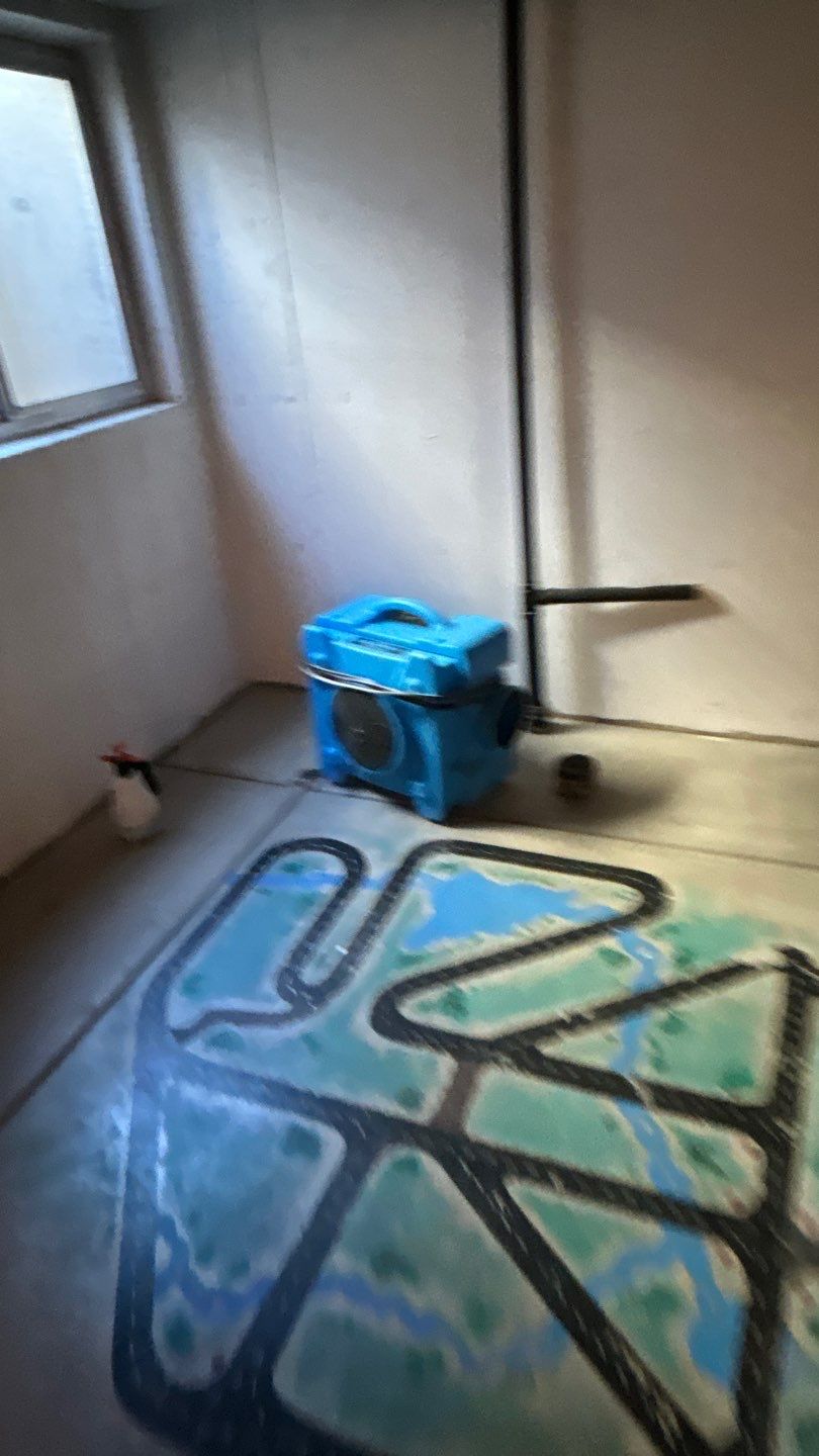 Mold Damage by Accountable Home Services