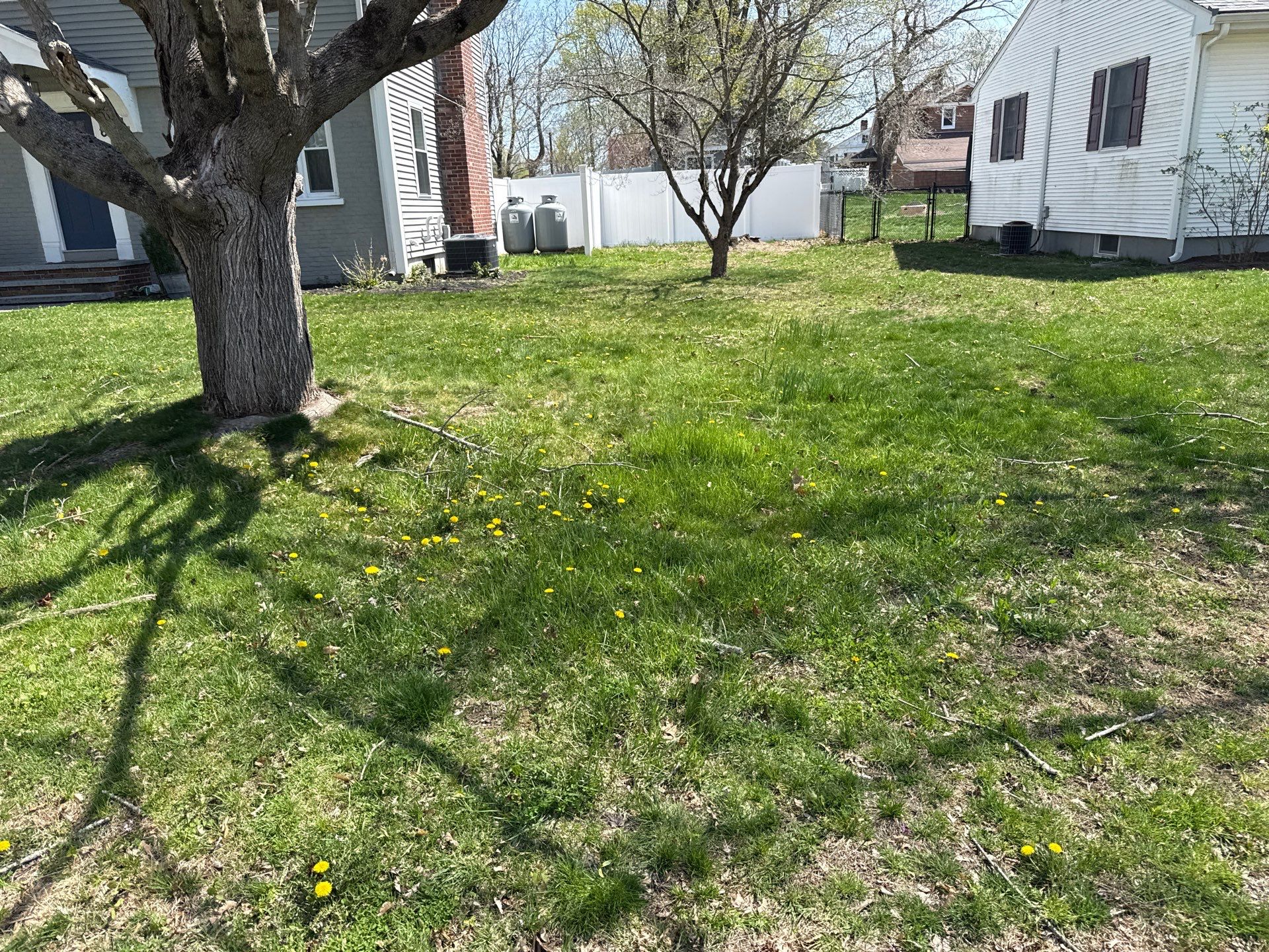 Comprehensive Spring Cleanup and Debris Removal in Clinton by Diamond Image LLC
