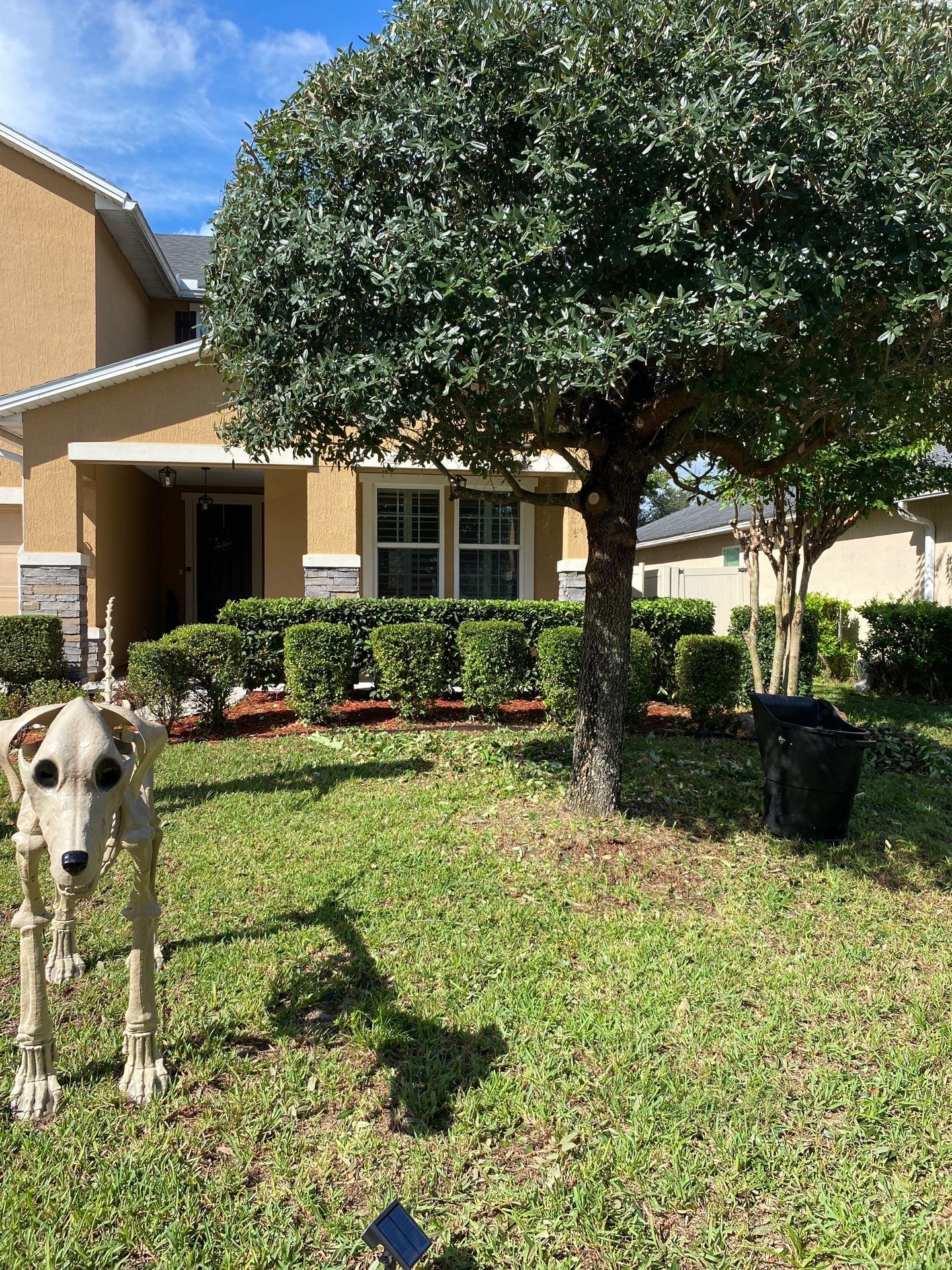 Property Clean Up | Residential by ProGreen Services
