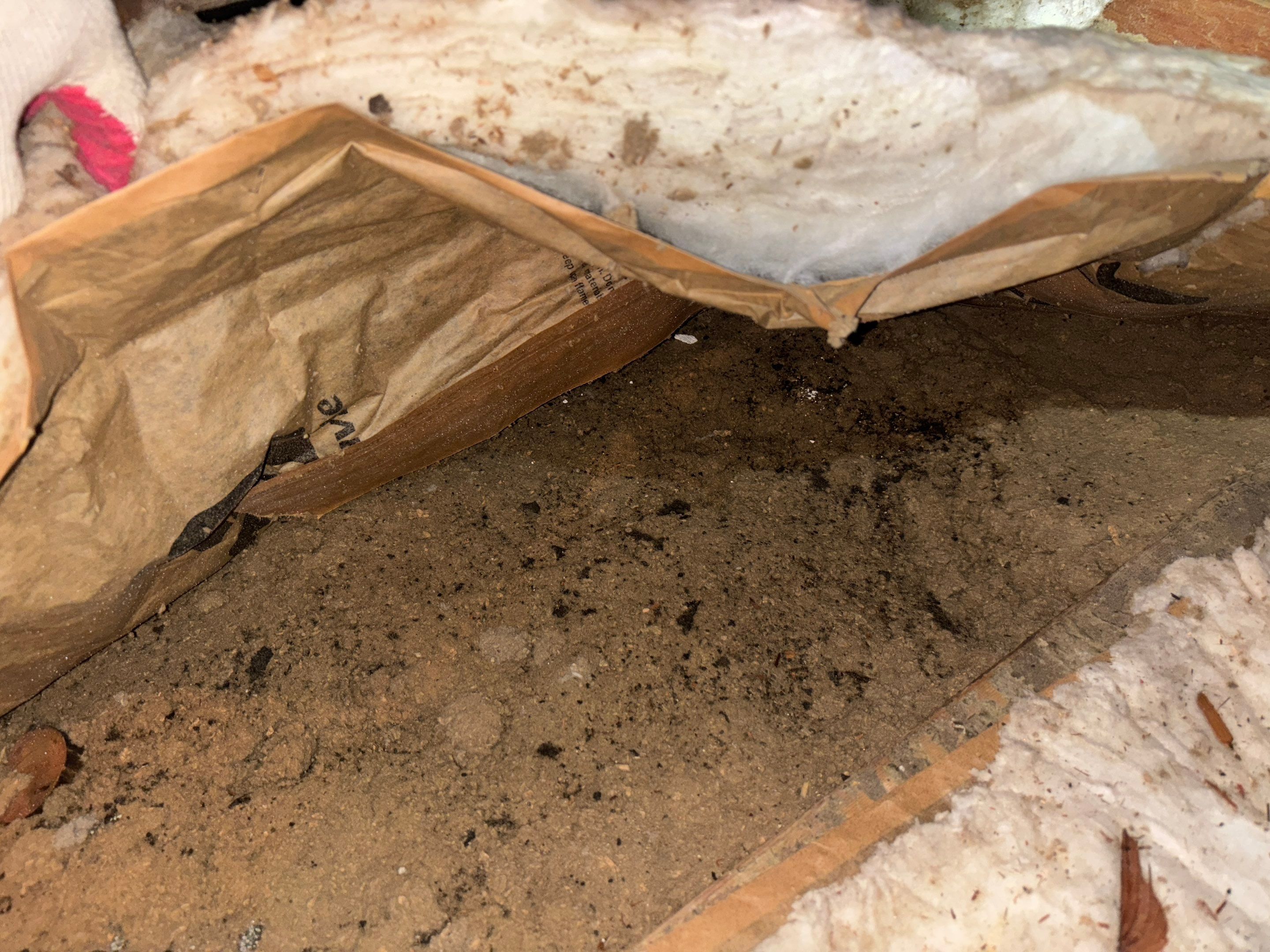 Project in Lynwood by Insulation Labs