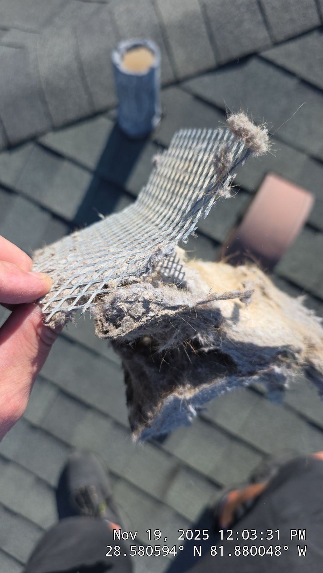 Dryer Vent Cleaning in Mascotte by Hygienic Air, Inc