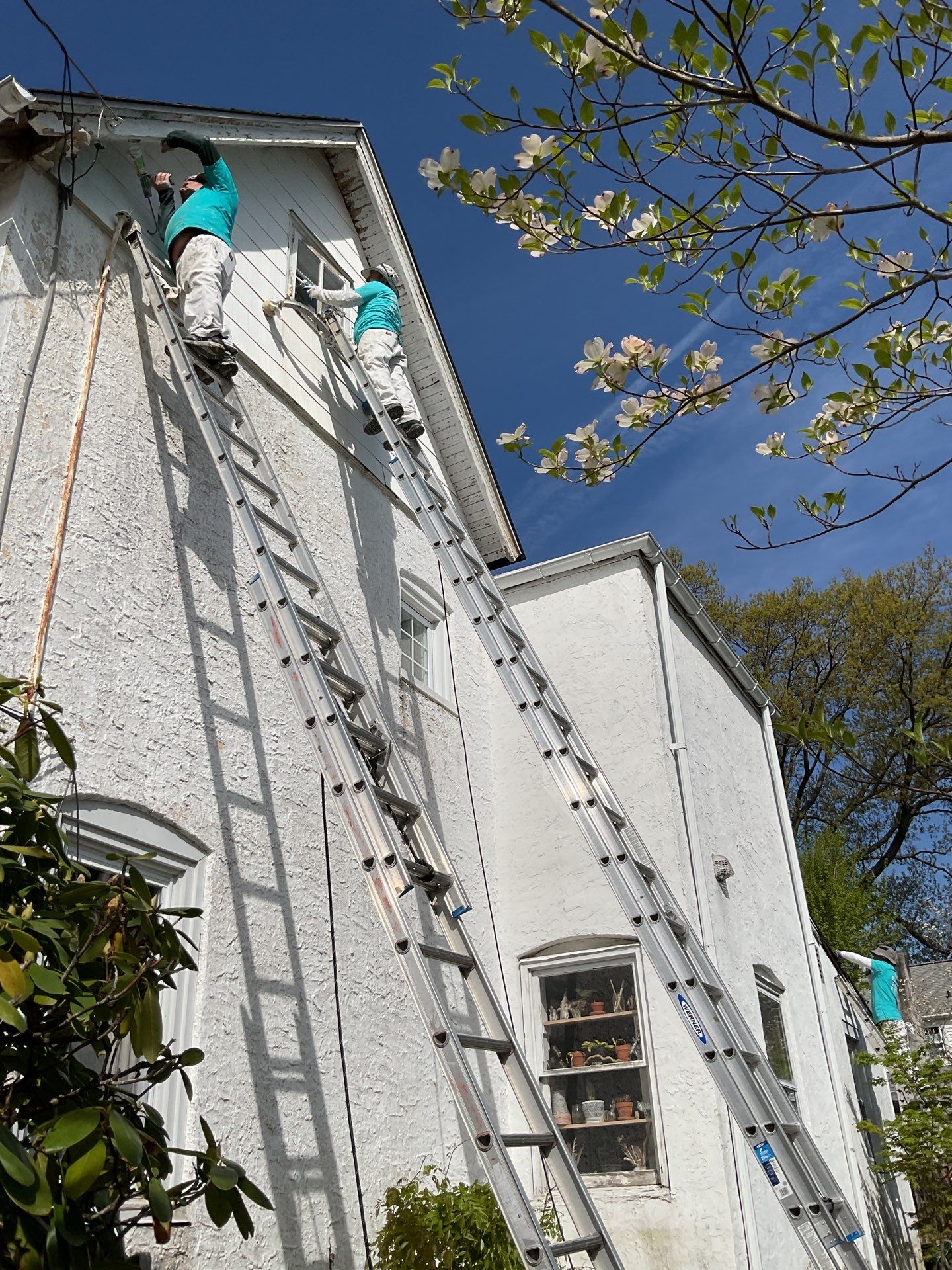 Exterior Painting Elkins Park, PA by Groovy Hues