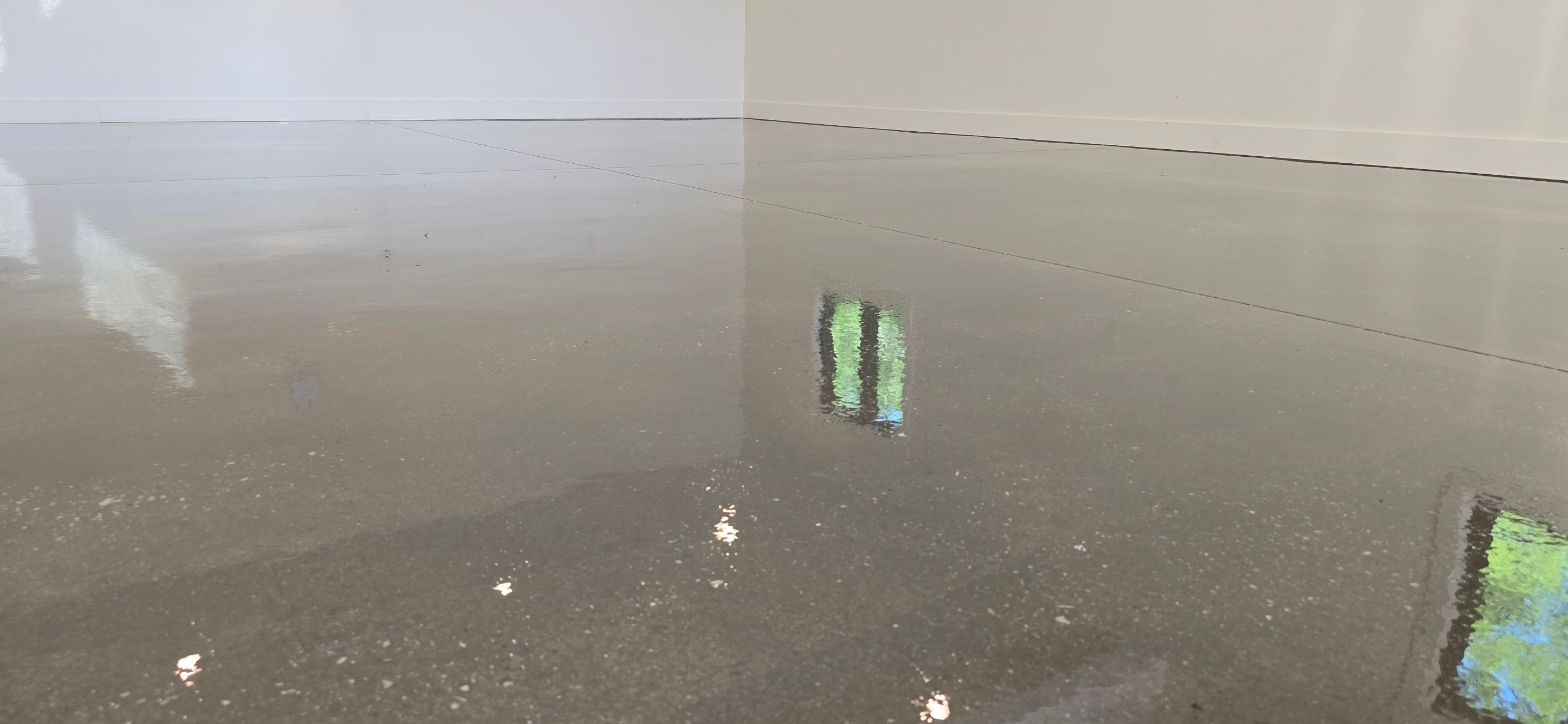 Grind & Seal Garage Floor Upgrade by Elite Floor Solutions
