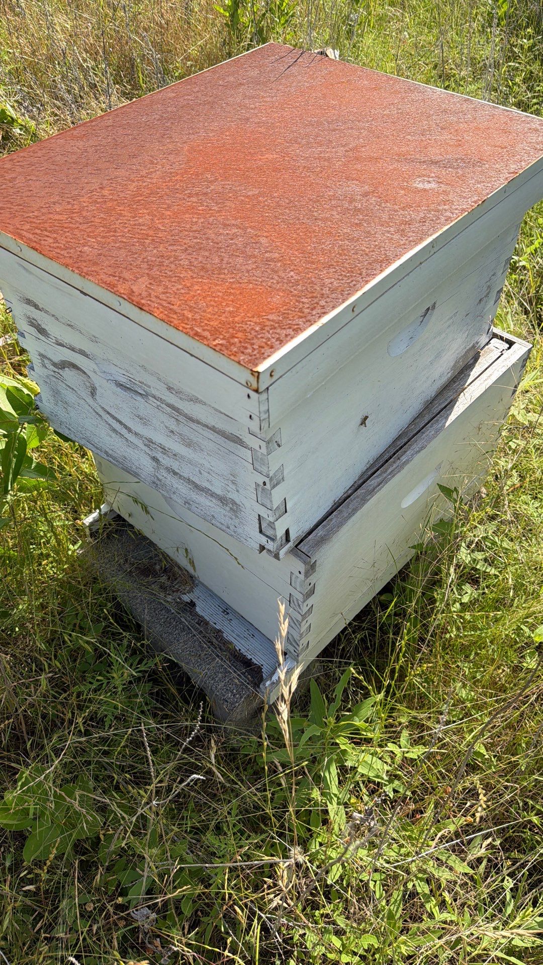 Baseball Diamond Apiary by Rockwall Honey Bee Company