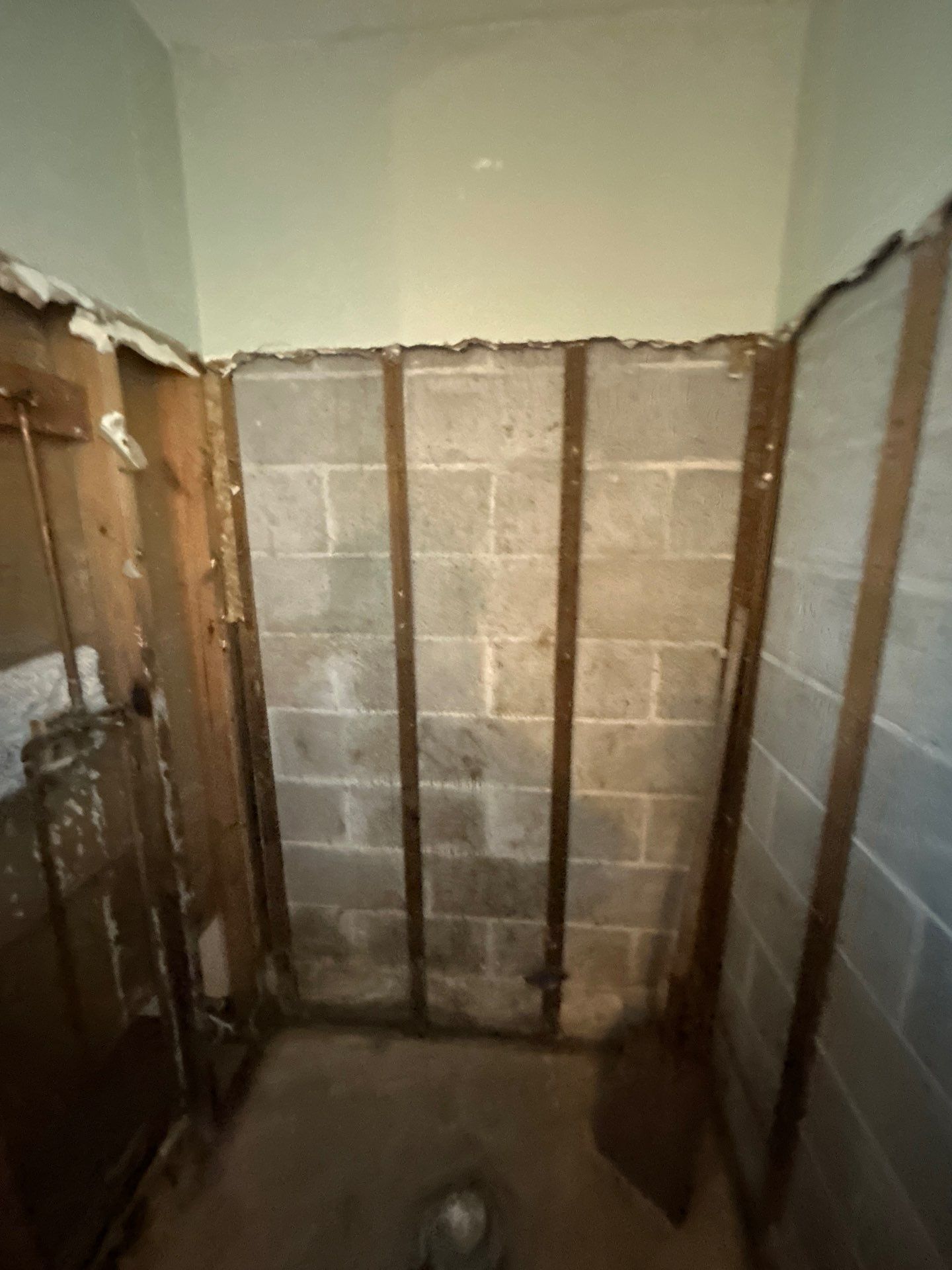 Mold Removal & Remediation In Seminole FL by Ampm Restoration Services