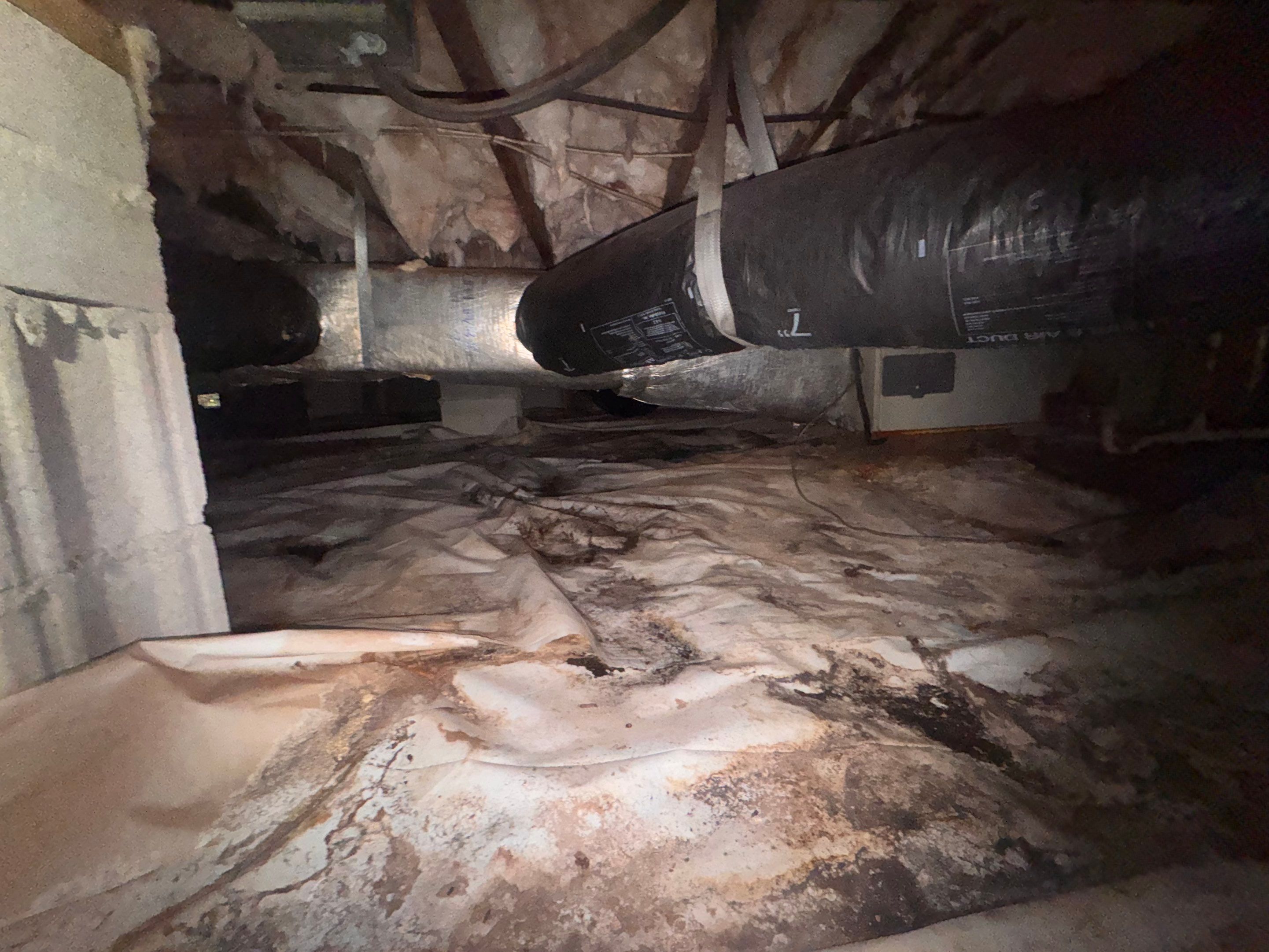 Moisture Barrier, Mold Clean, Structural Repair, Dehumidifier, R19 Insulation. by Impact Crawlspace