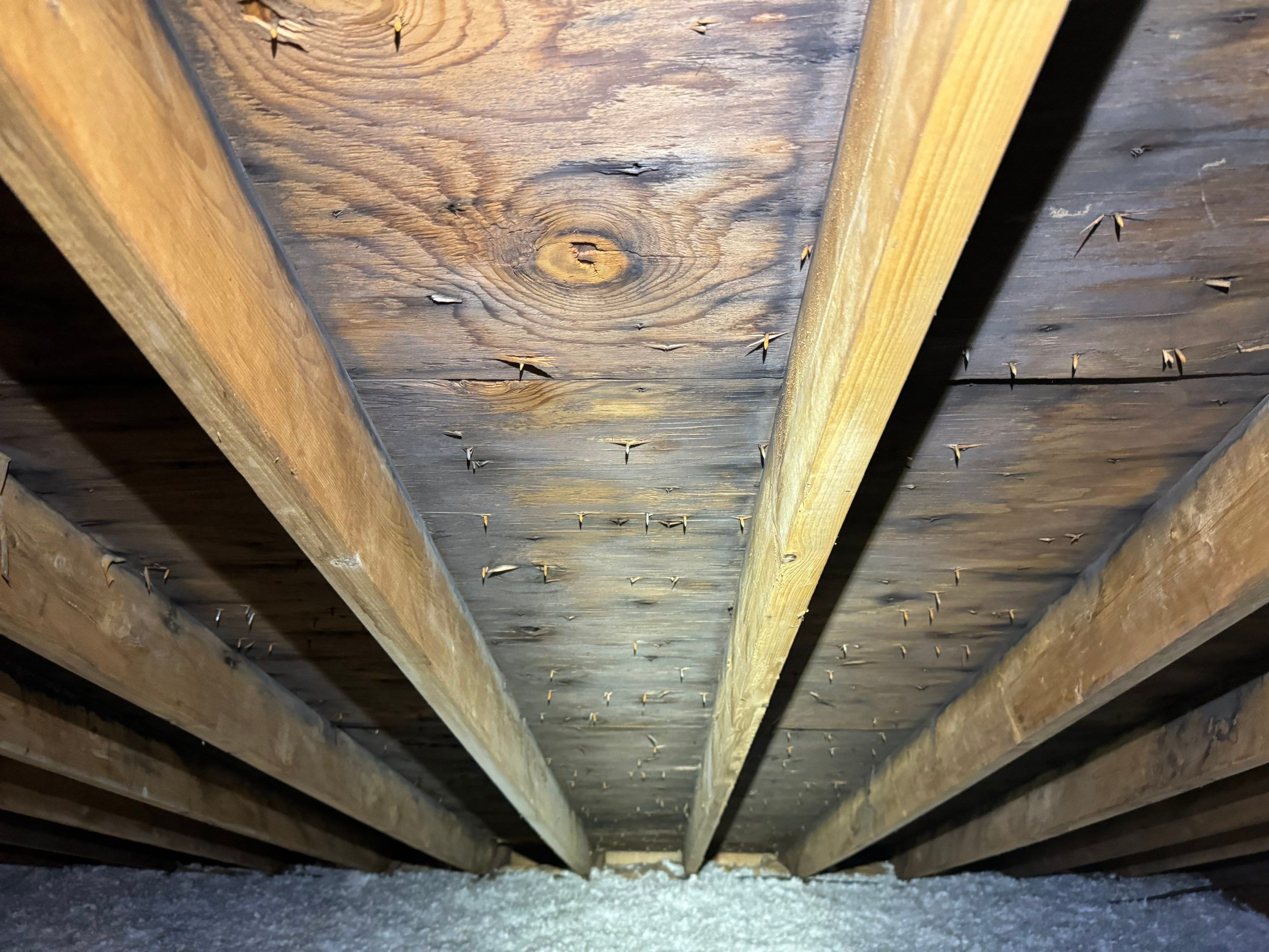 Attic Mold Remediation by Home Guarantee, LLC