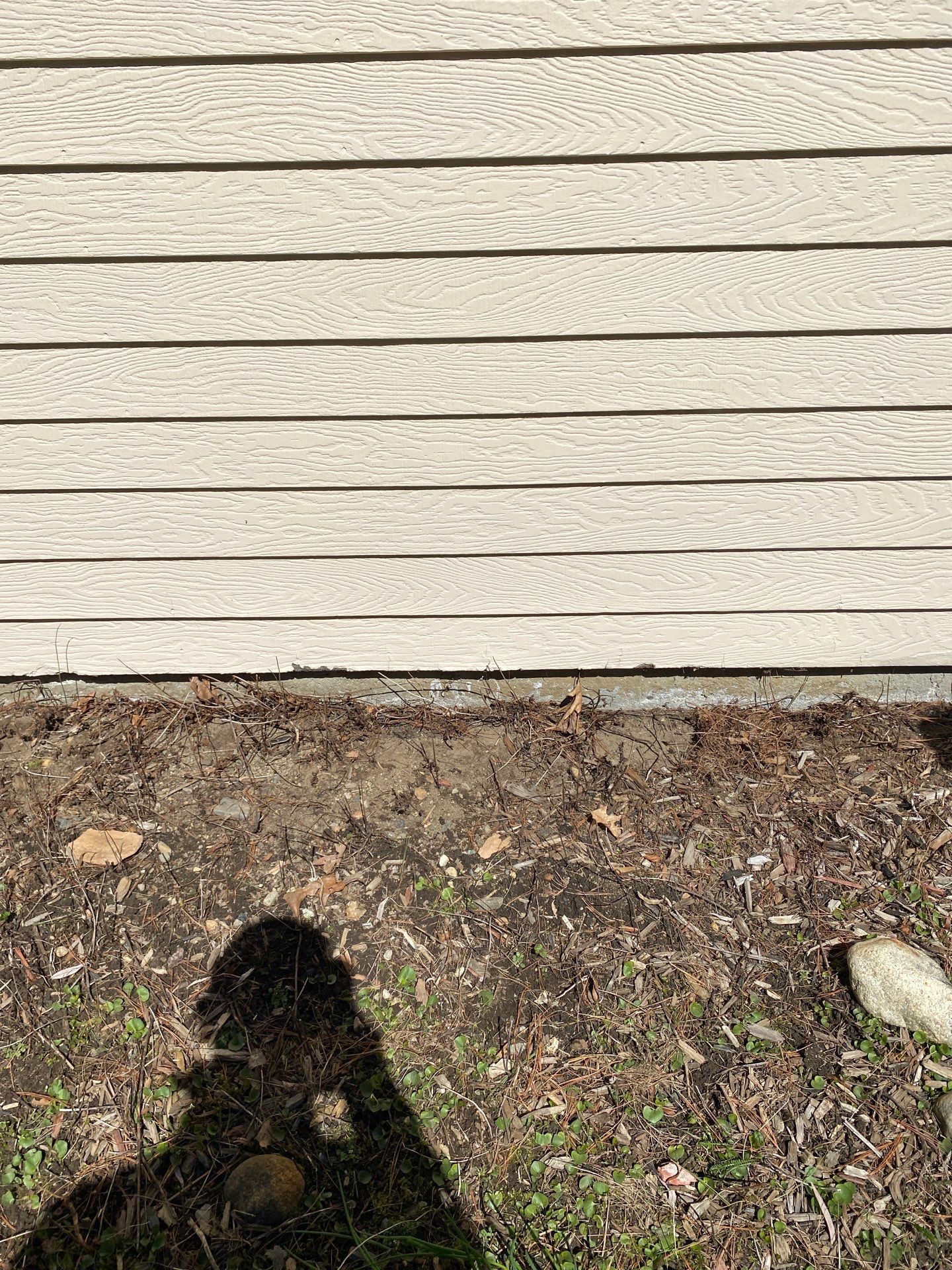 Siding | Andover by Mighty Dog Roofing of Greater Middlesex County