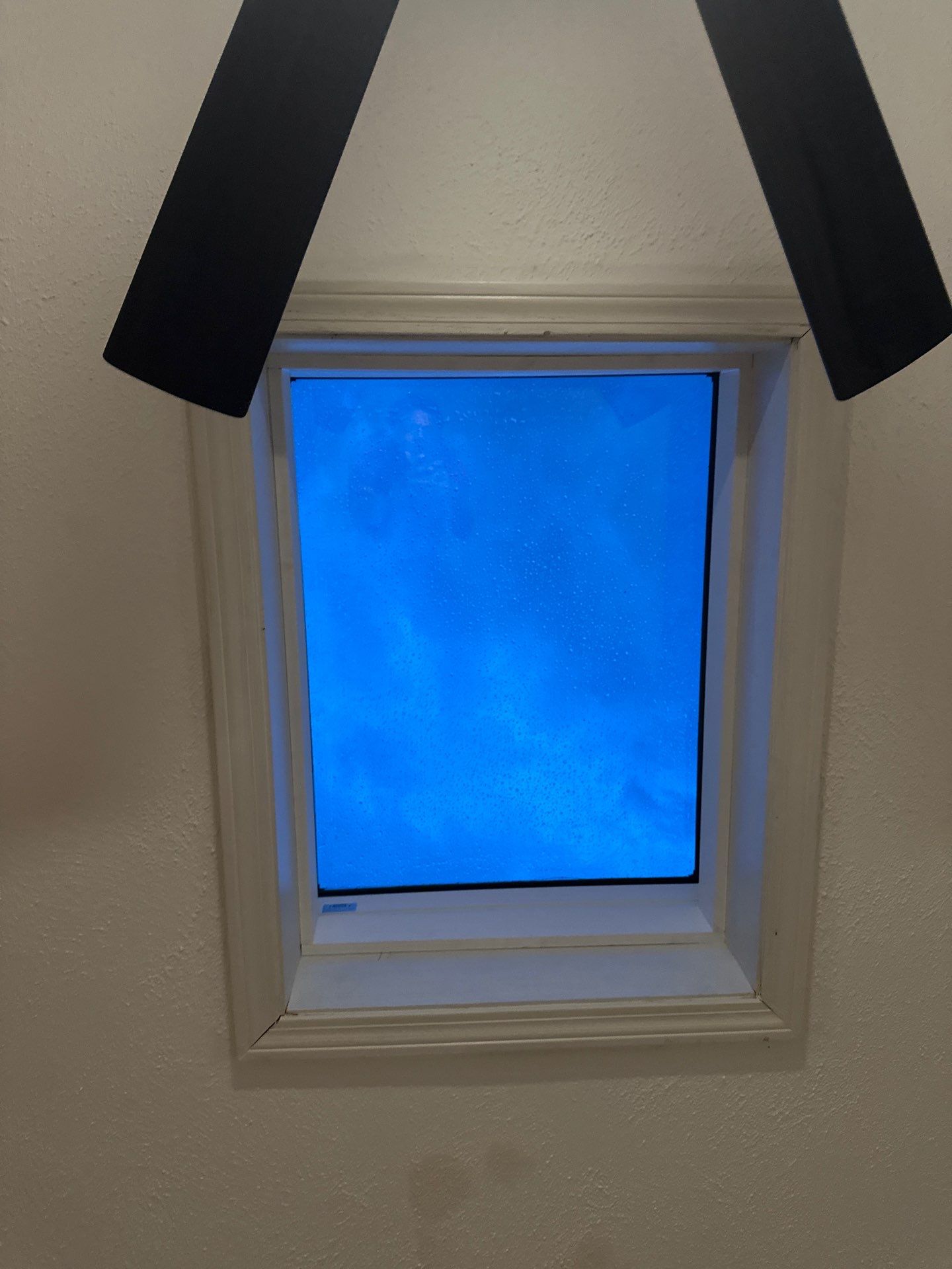 Flat Roofing & Skylights | Westford by Mighty Dog Roofing of Greater Middlesex County