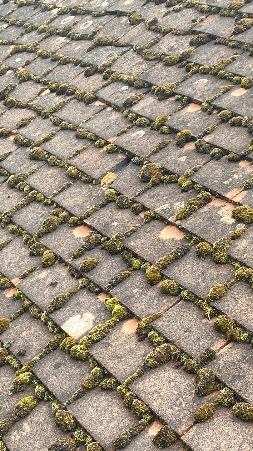 Roof Clean - Moss Removal using Honda 15lpm Low Pressure Washing Machine by Ges Exterior Cleaning ltd