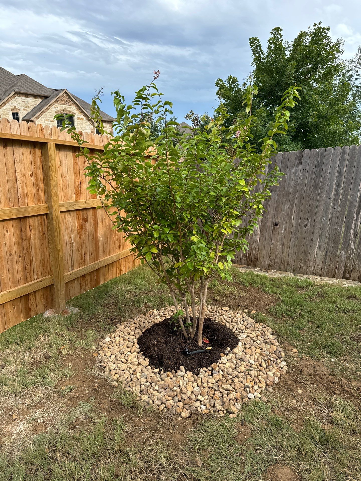 Indian Springs - San Antonio, TX by Hole In One Lawns, LLC