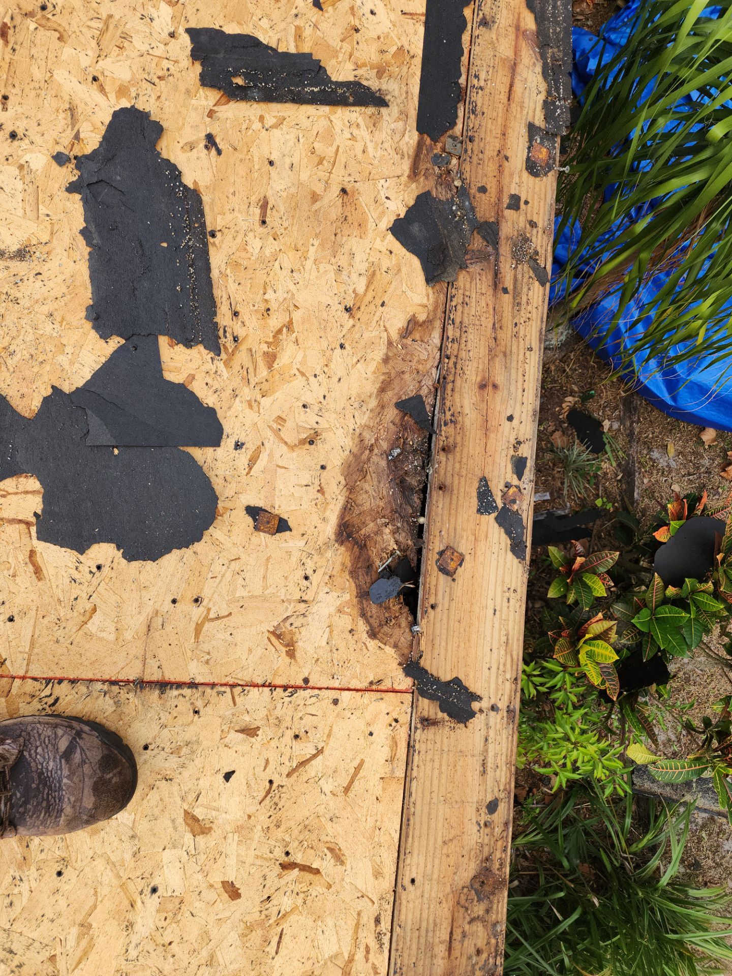 Project in Winter Park by Fortified Roofing Solutions Corp.