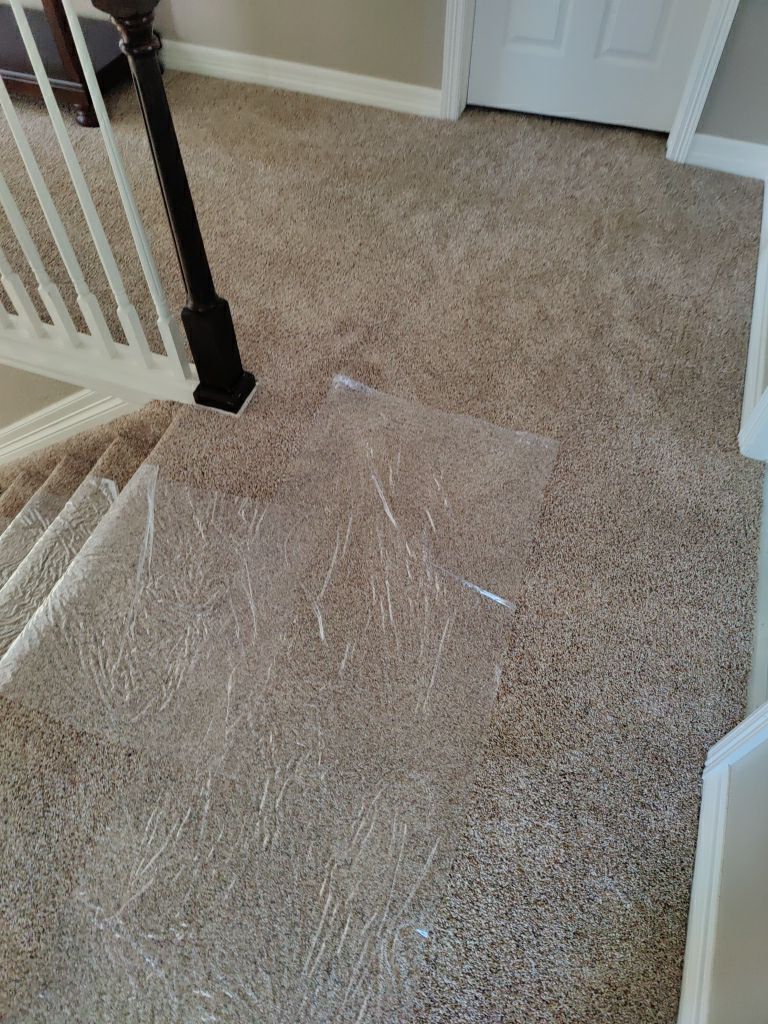 Water Damage  by Accountable Home Services