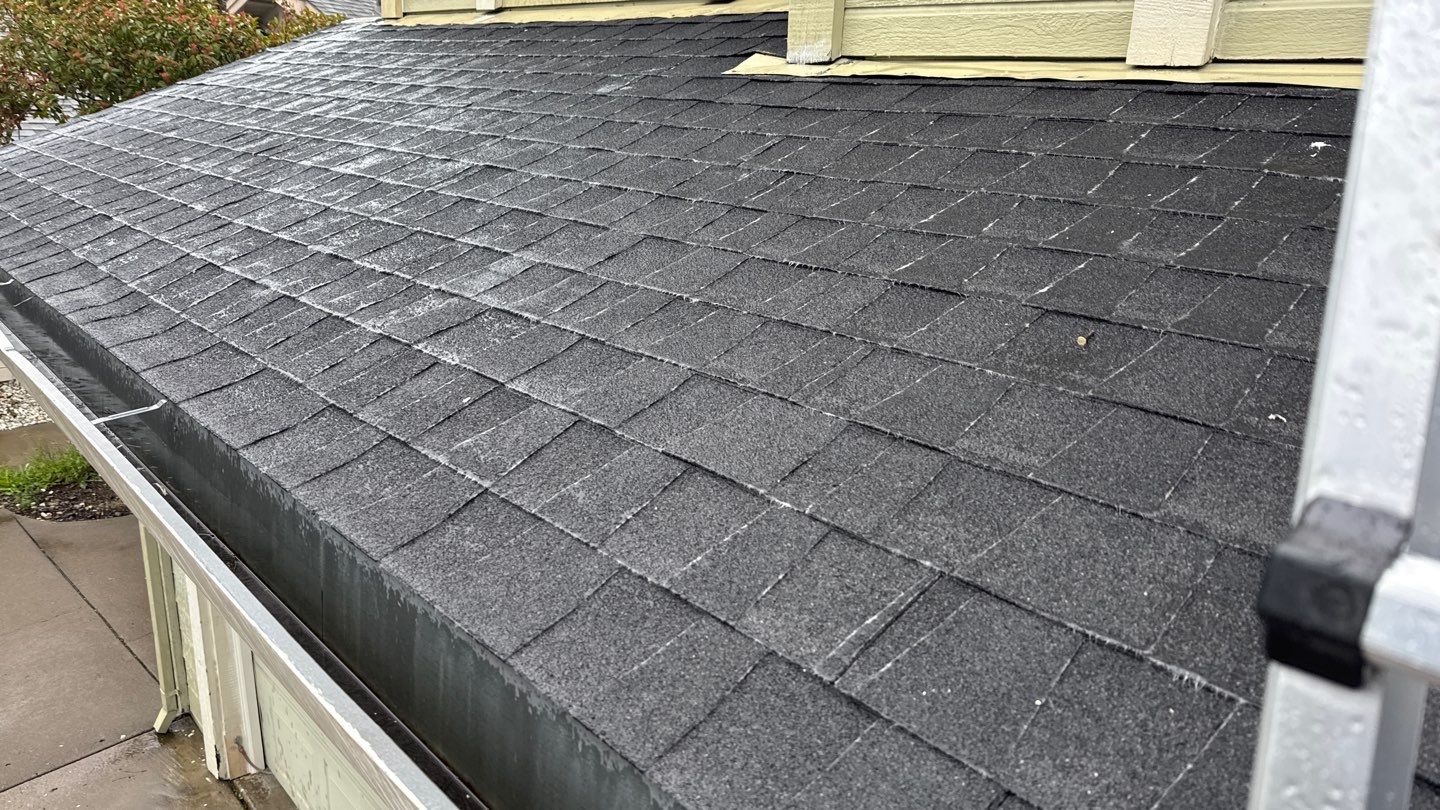 Project in Antelope by NuLead Construction Inc