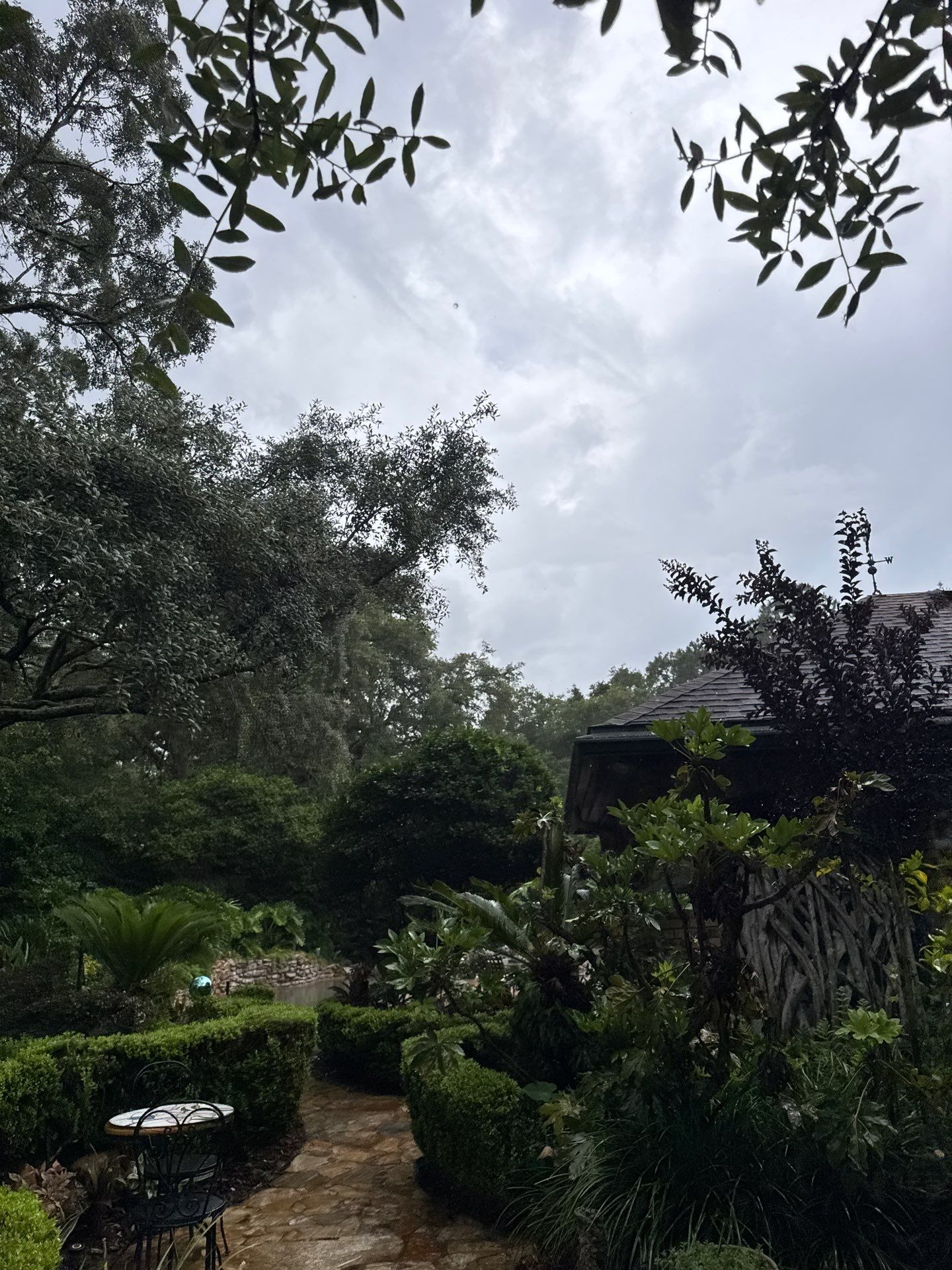 Deerwood Resident | Tree Removal & Trimming by ProGreen Services