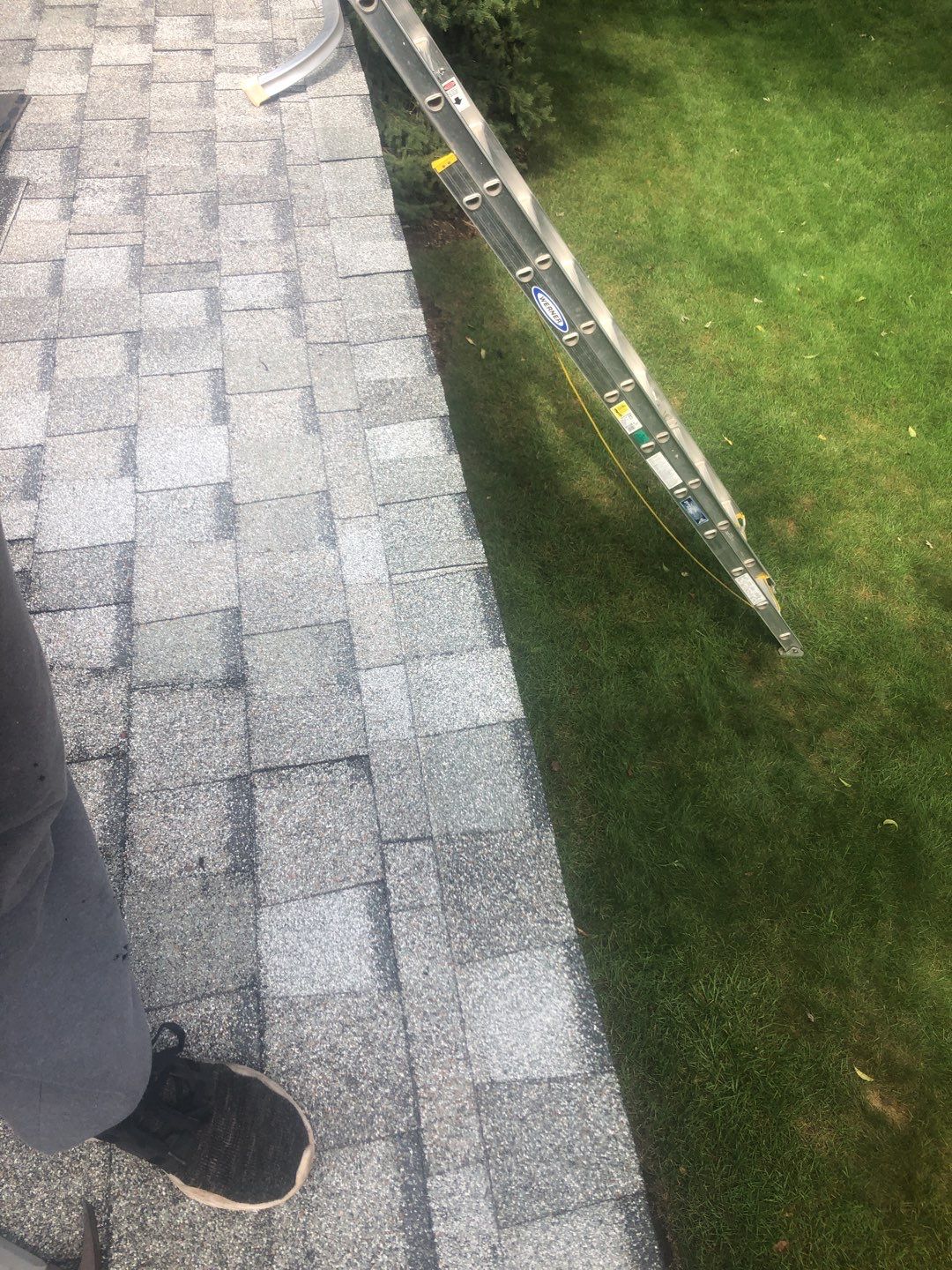 Dennis Exact Pro Wash by Silver Leaf Contracting 